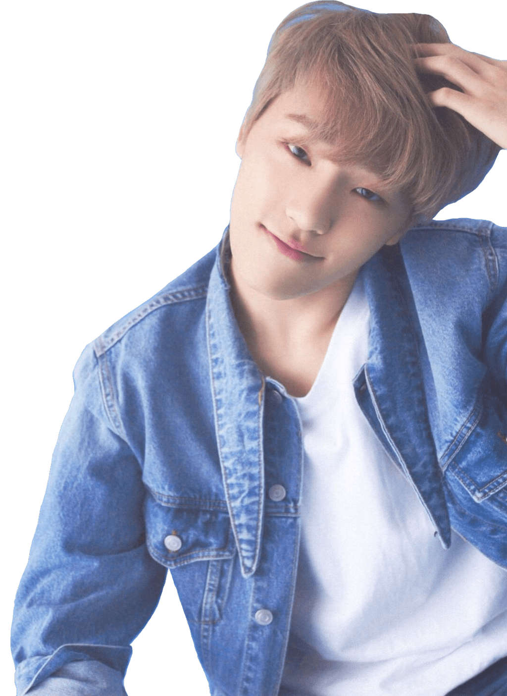 Dino Seventeen Wallpapers Wallpaper Cave