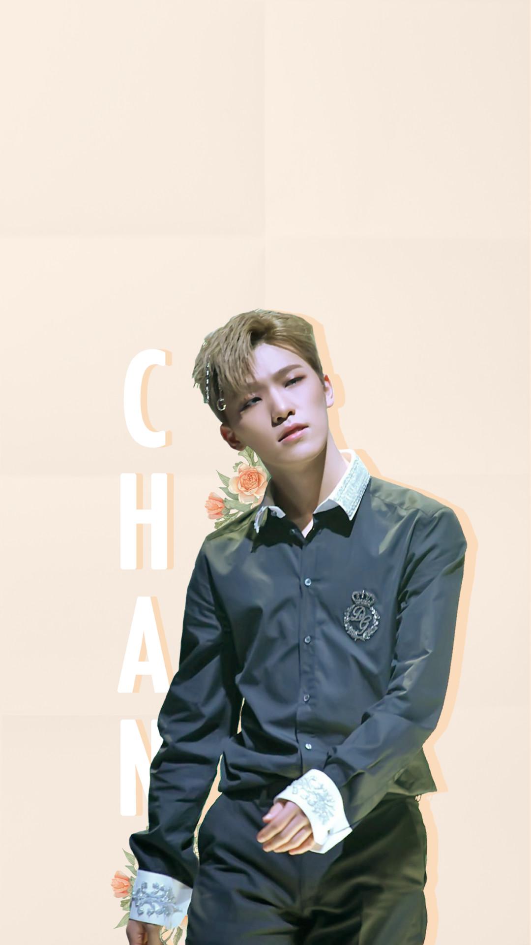 Dino Seventeen Wallpapers Wallpaper Cave