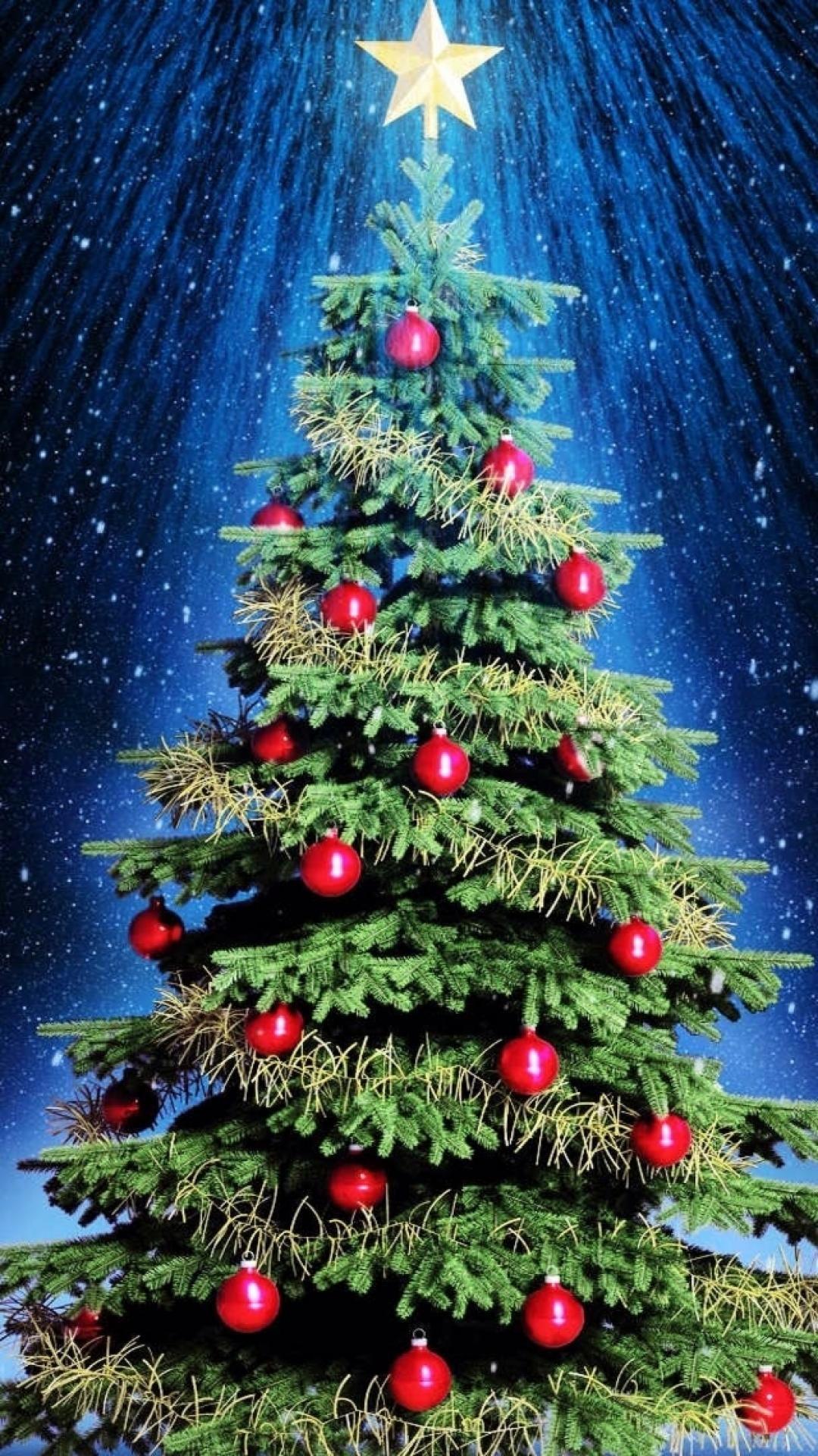 iPhone 6 Wallpaper. Live christmas trees, Christmas tree painting, Christmas wallpaper