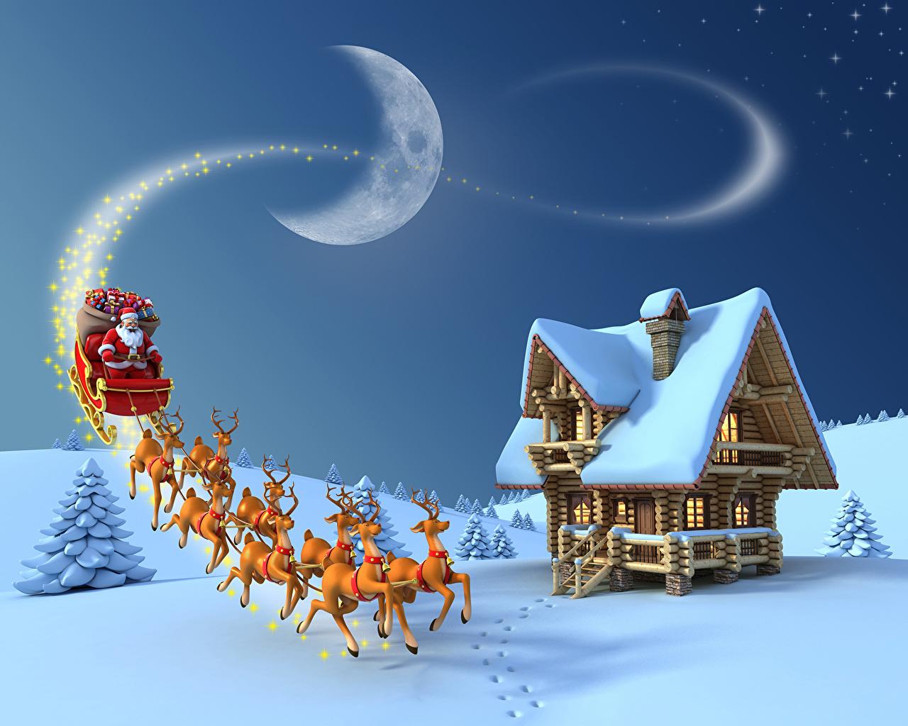 Wallpaper Deer Christmas sleigh Winter Nature Santa Claus