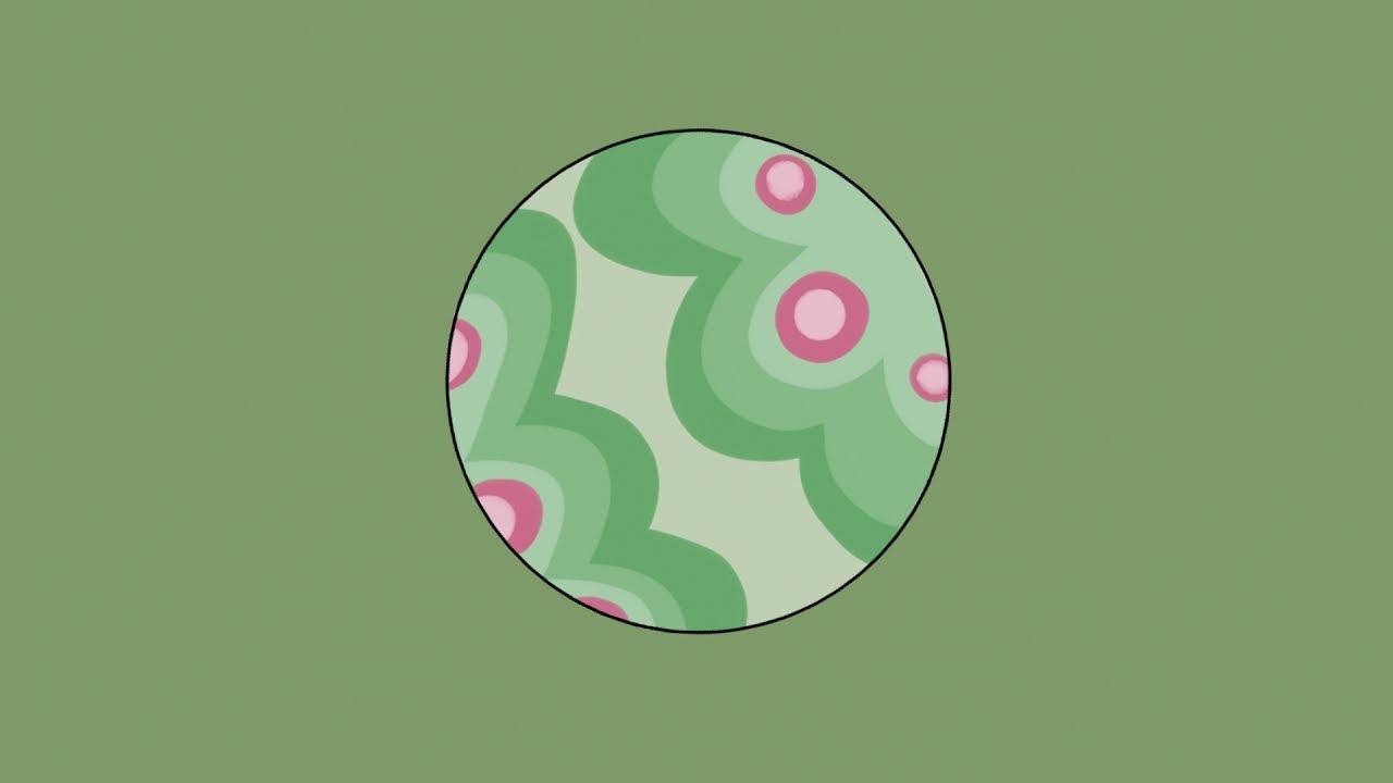 I Can't Remember When!