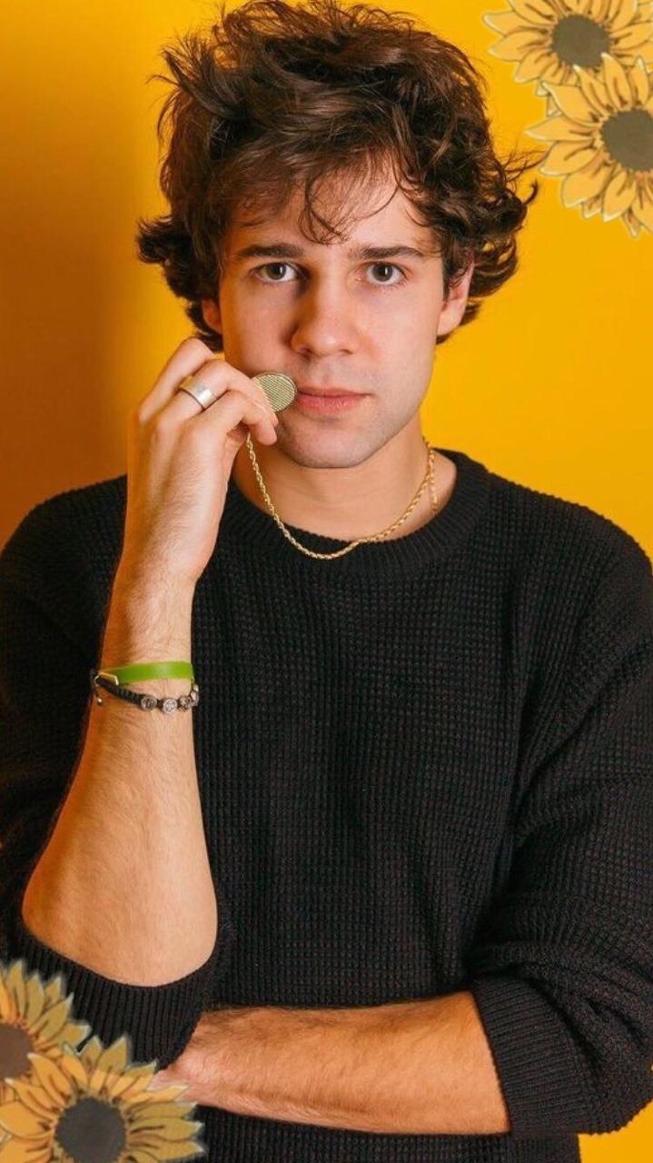 david dobrik aesthetic