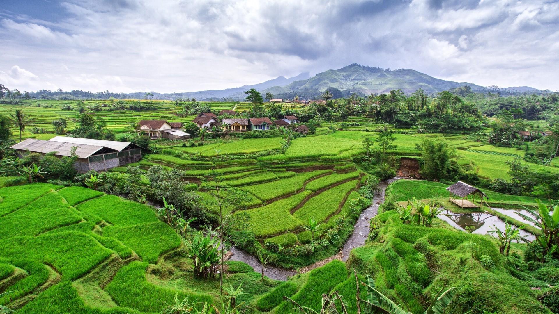 Indonesian Wallpaper. Indonesian
