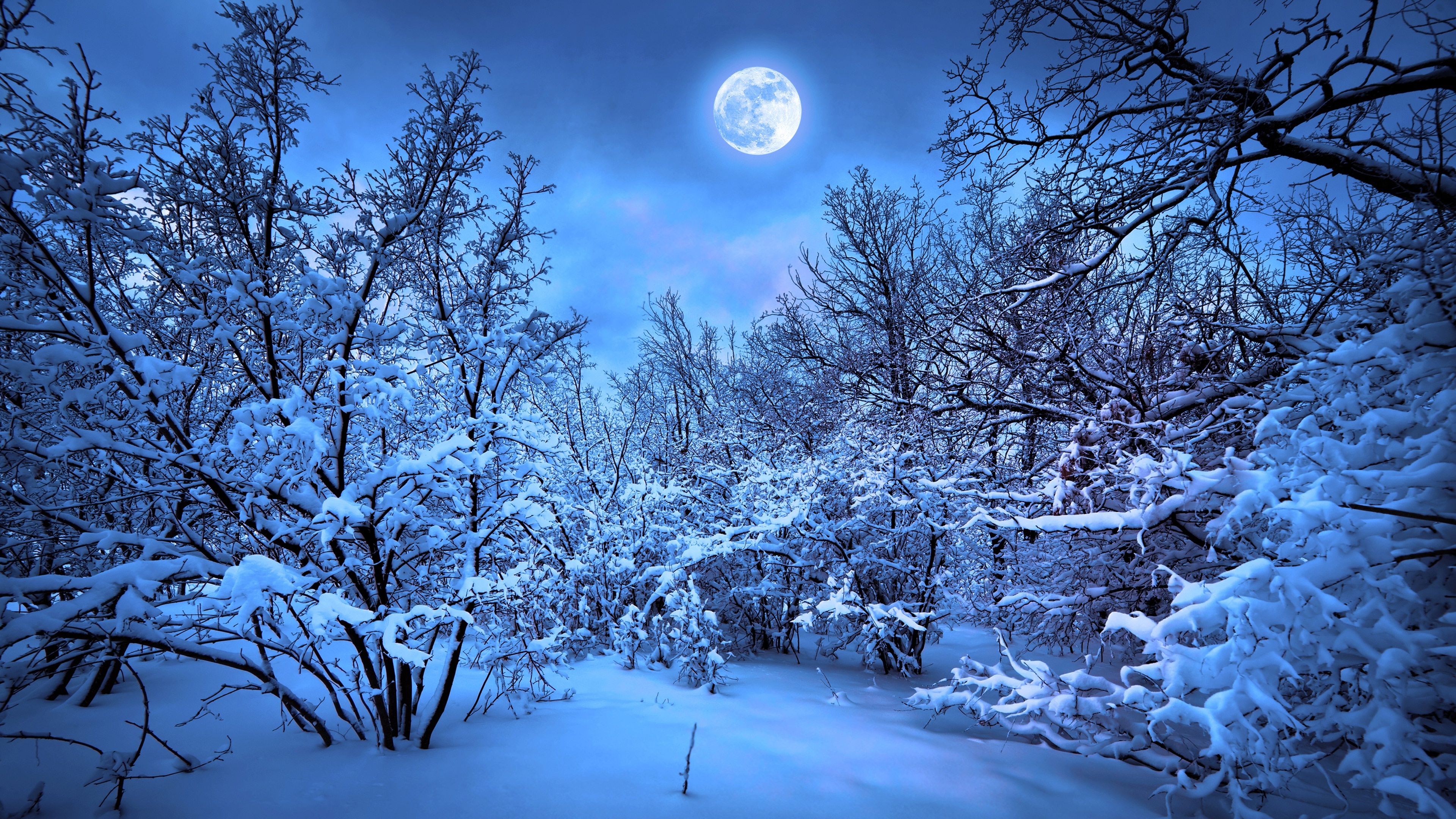 Winter 4K Wallpaper 3840×2160. Winter moon, Winter wallpaper
