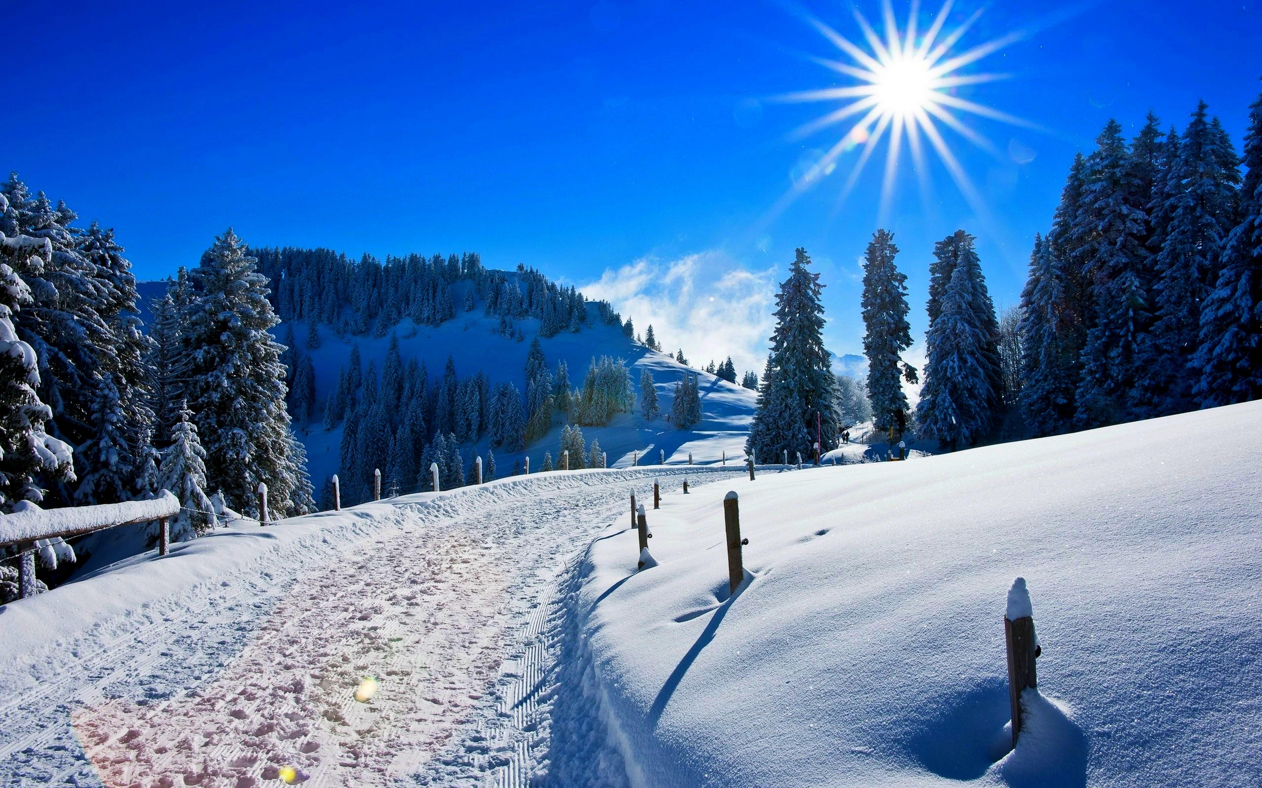 Wallpaper Sunny day, Winter, Snow covered, Pine trees, Path