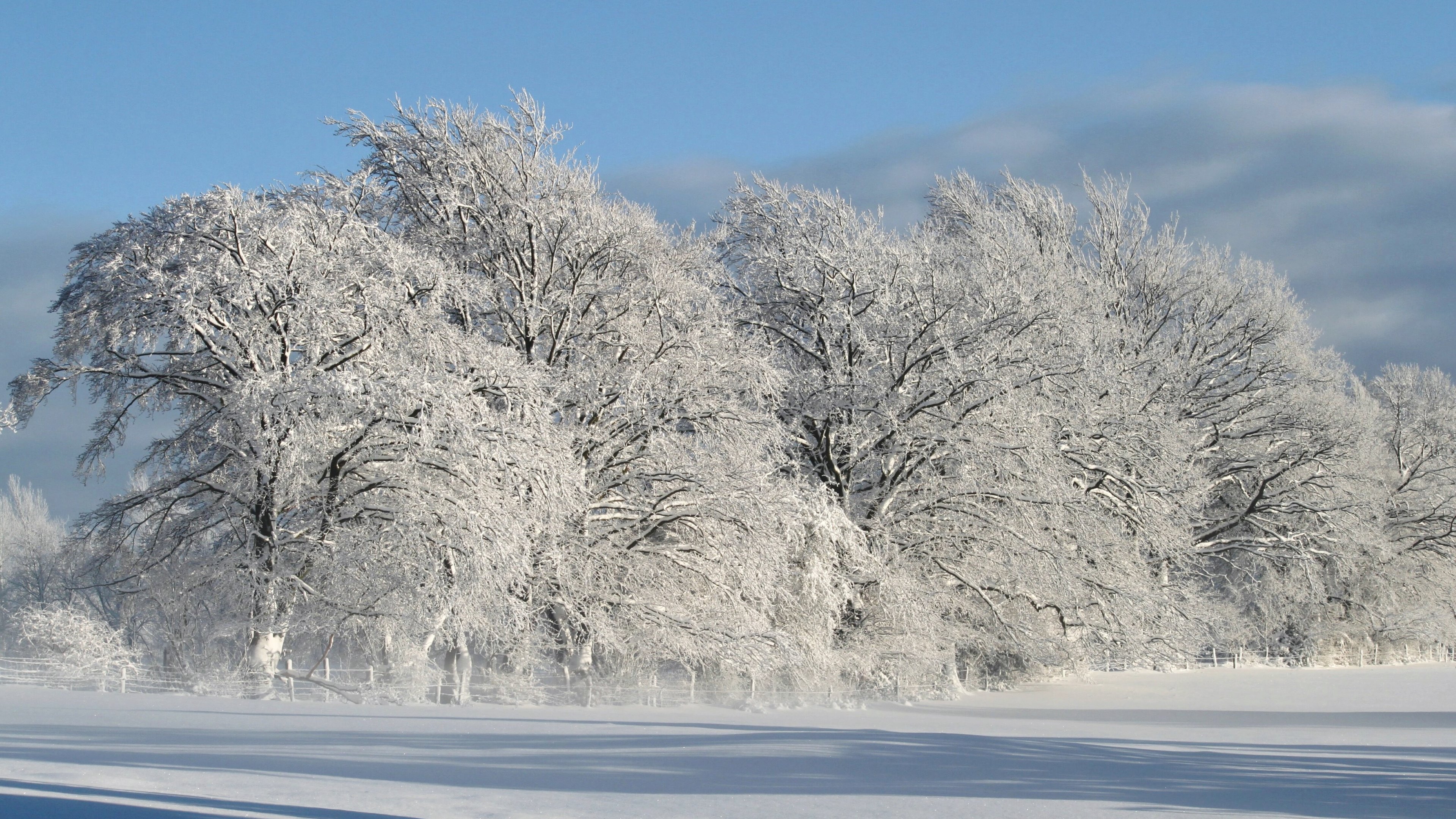 Free download White Landscape Nature Winter Snow HD Wallpaper 4K Wallpaper [3840x2160] for your Desktop, Mobile & Tablet. Explore 4K Snow WallpaperK Skyrim Wallpaper, 4K Wallpaper Grass, 4K Winter Wallpaper