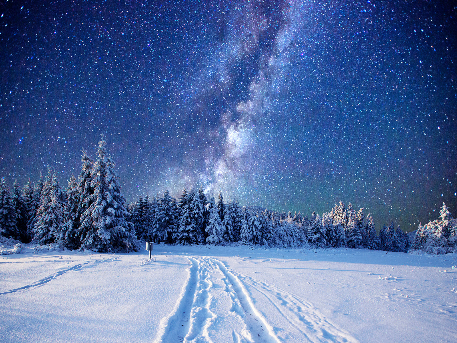 Desktop Wallpaper Stars Nature Spruce Winter Sky Snow 1600x1200
