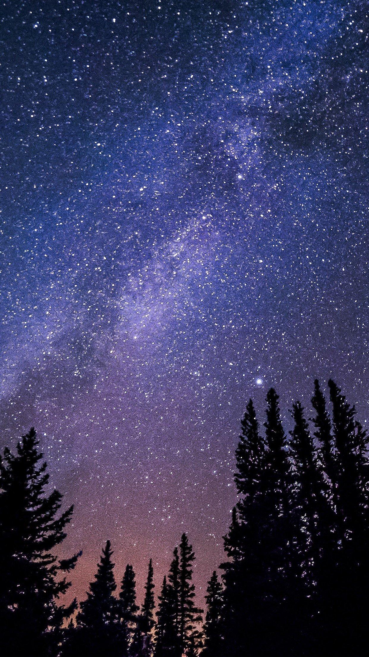 Night Starry Sky Aurora Winter Wallpaper