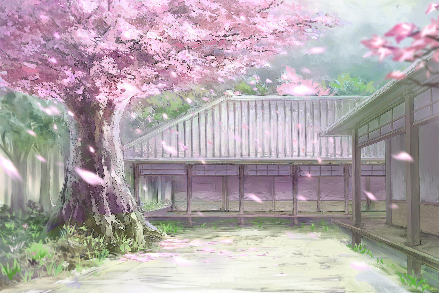 Cherry Blossoms Anime Scenery Wallpaper Free Cherry Blossoms Anime Scenery Background