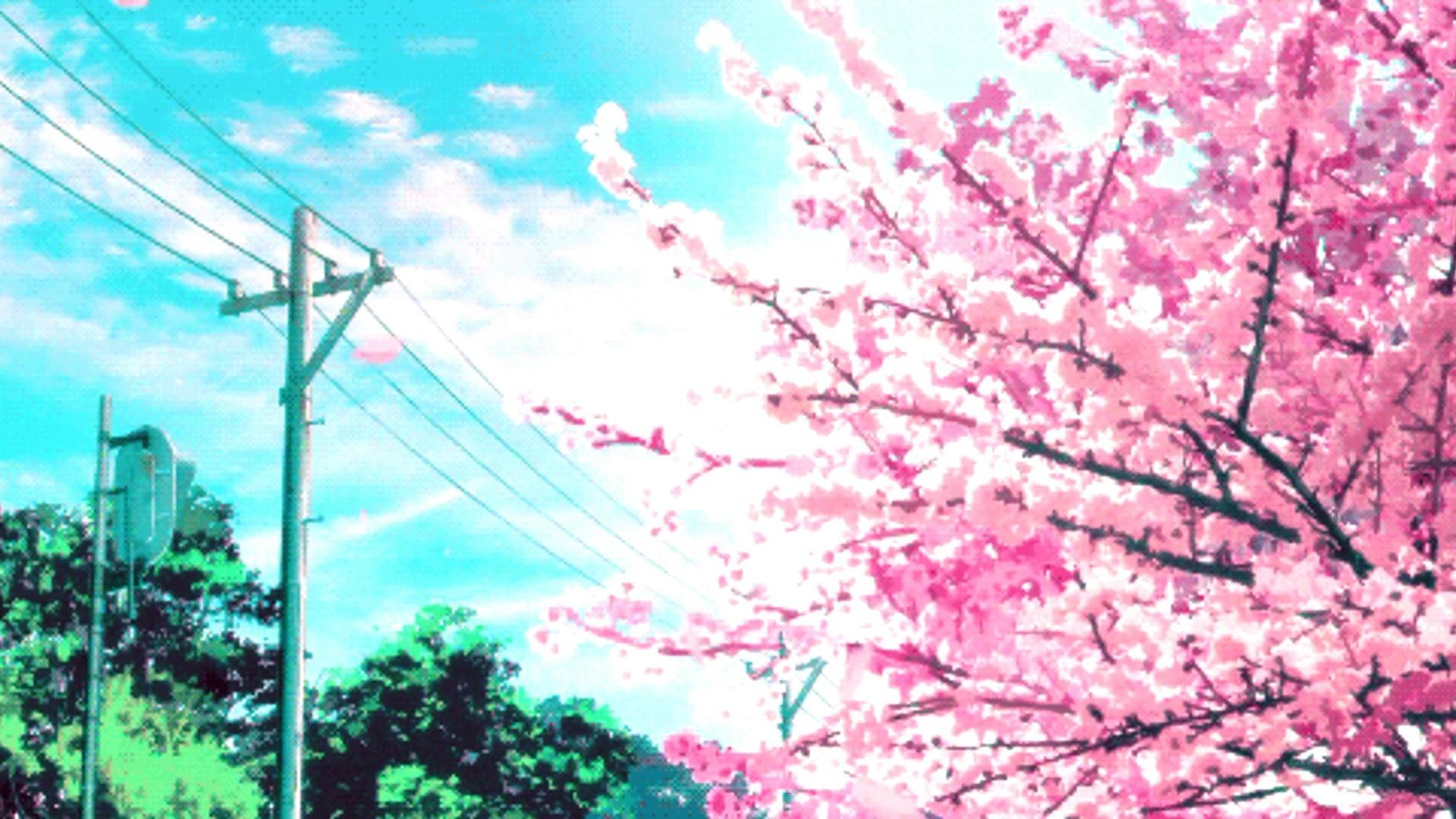 Sakura & Clouds Pink Anime Wallpapers - Sakura Wallpaper Phone