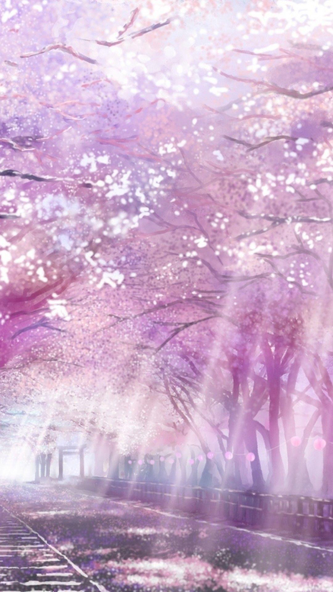 Cherry Blossom Anime Mobile Wallpapers - Wallpaper Cave
