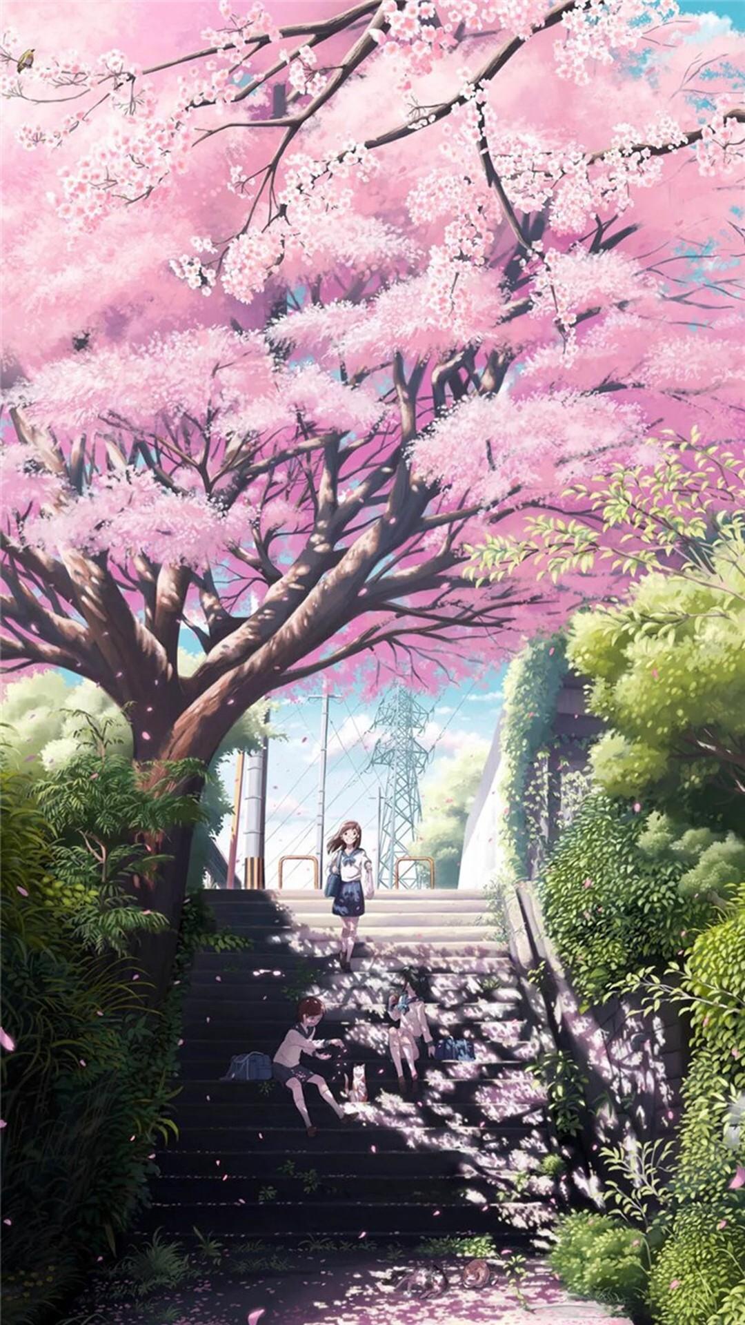 Anime Cherry Blossom Phone Wallpaperwalpaperlist.com