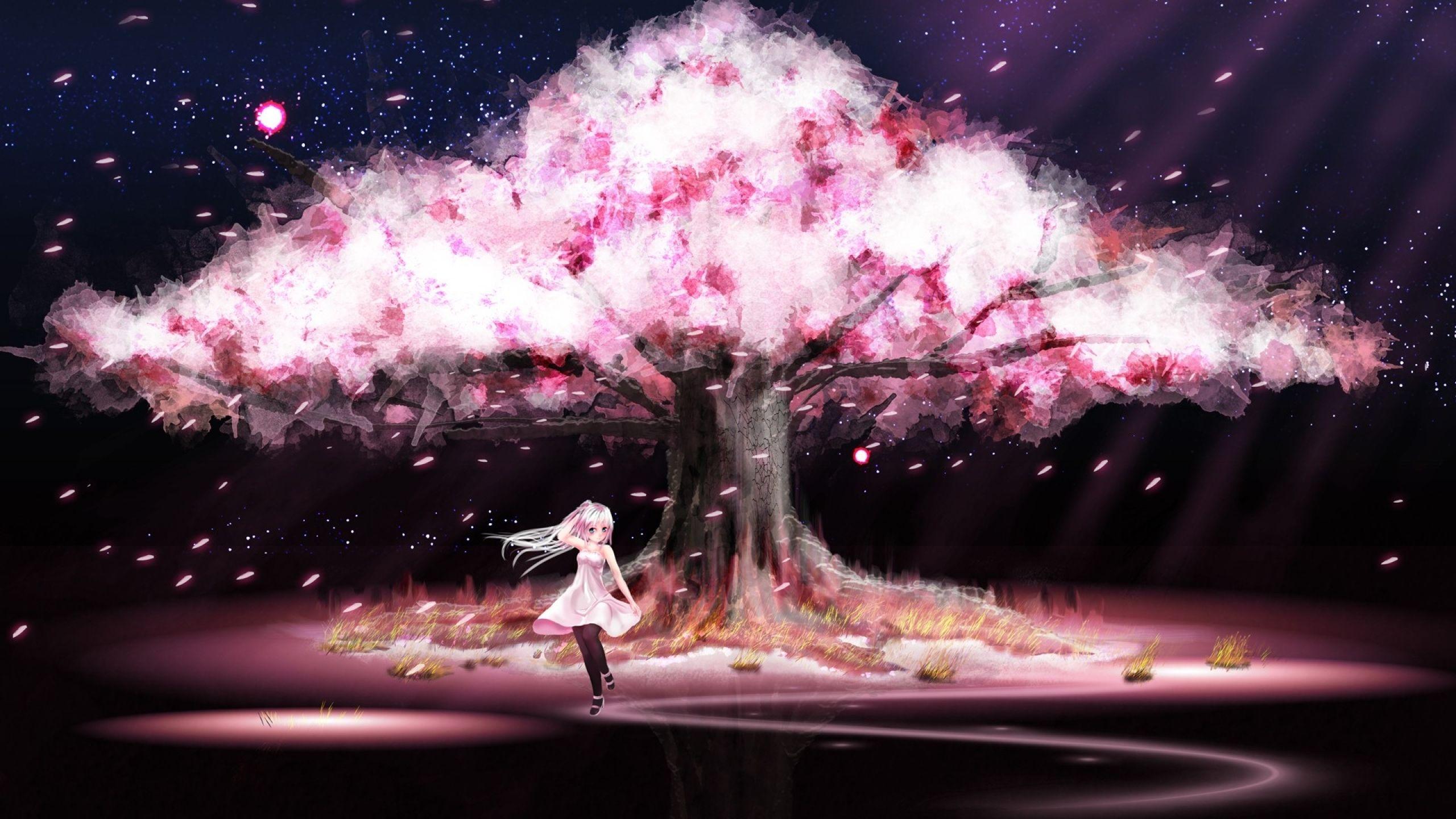 Cherry Blossom Tree Anime (2560×1440). Anime Cherry Blossom, Cherry Blossom Wallpaper, Anime Scenery