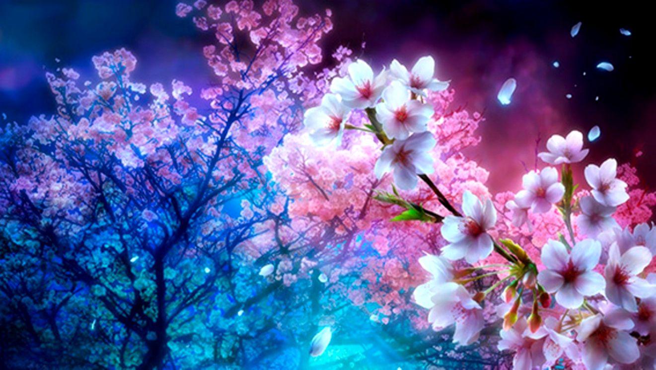 Cherry Blossom Tree Anime Background Purple Anime Cherry Trees Shrine ...