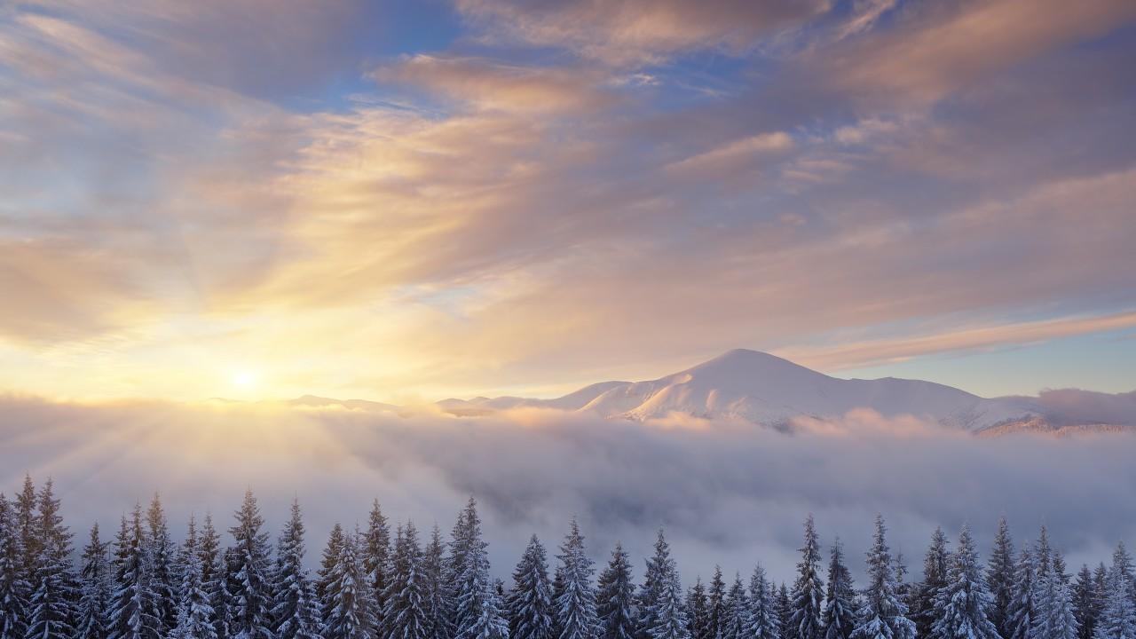 Wallpaper Sunrise, Winter Mountains, Pine trees, Snow, 4K