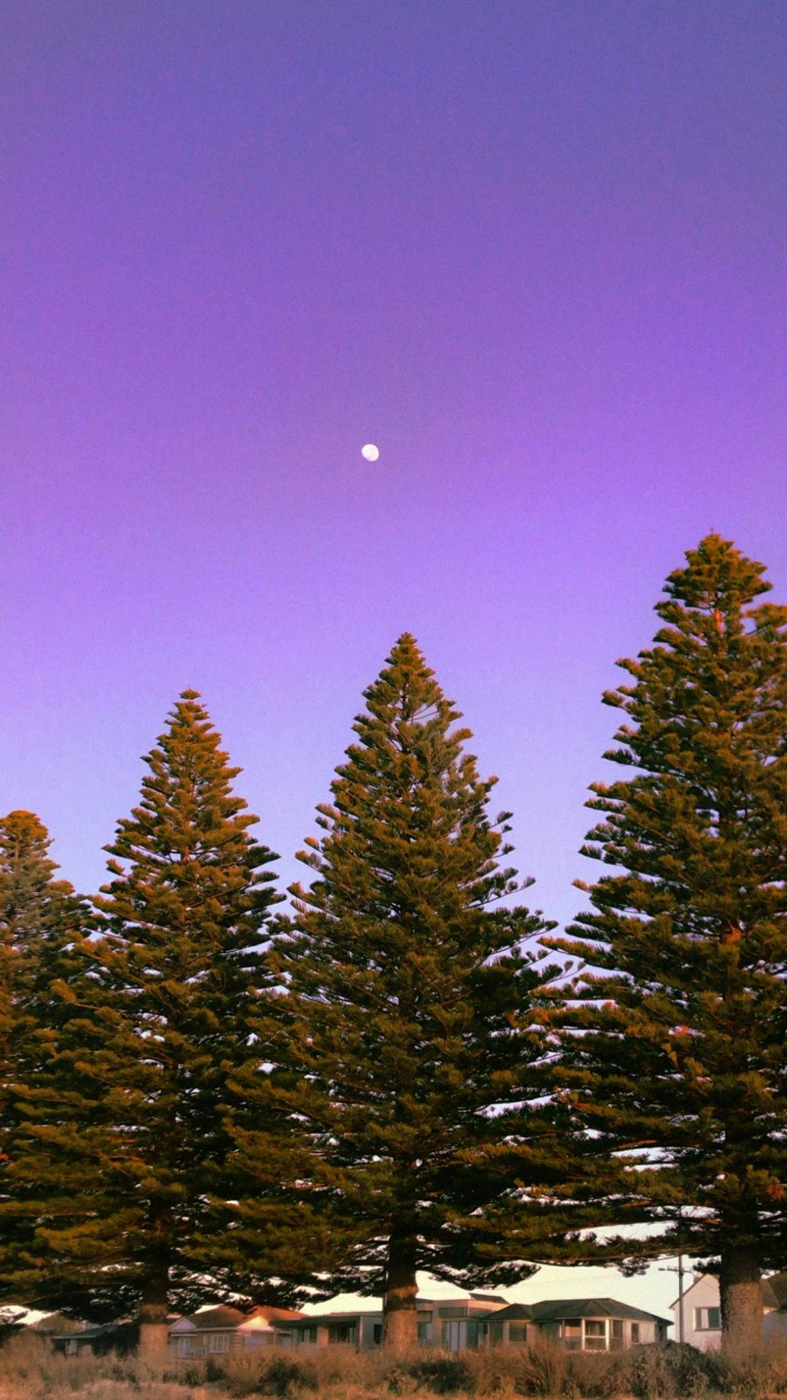 wallpaper #background #moon #purple #aesthetic #photography