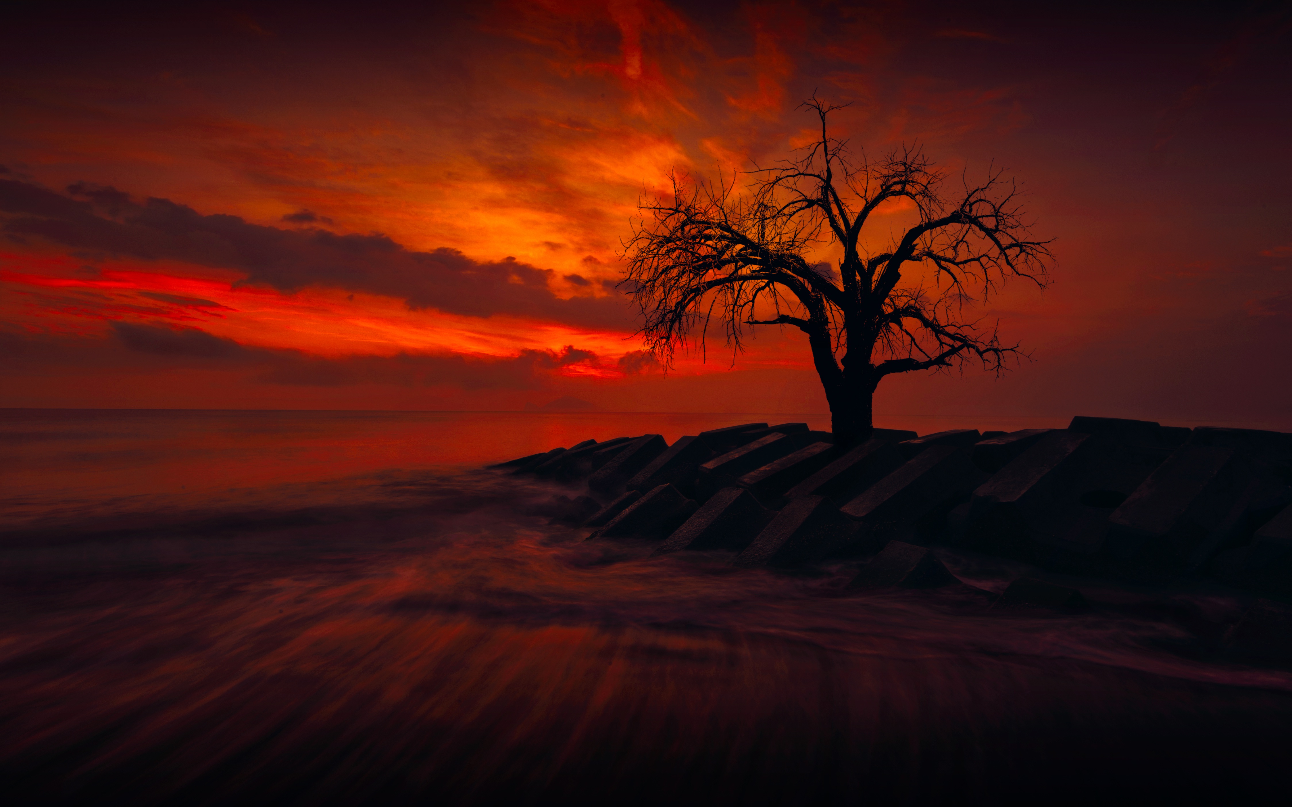 Lonely Tree With Lights Wallpapers - Wallpaper Cave