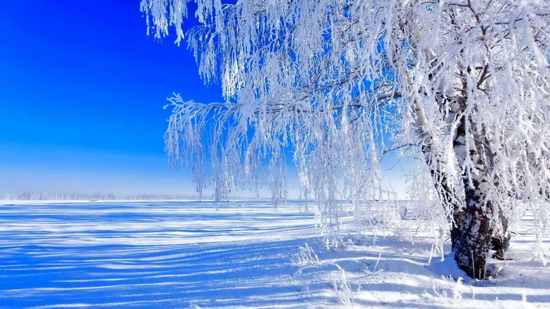 Winter: Beautiful Winter Snow Splendor Time Footprints View