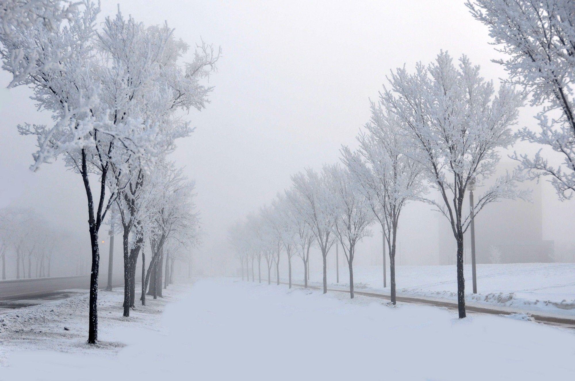 Time Snowy Winter Trees Snow Splendor Nature Road Desktop