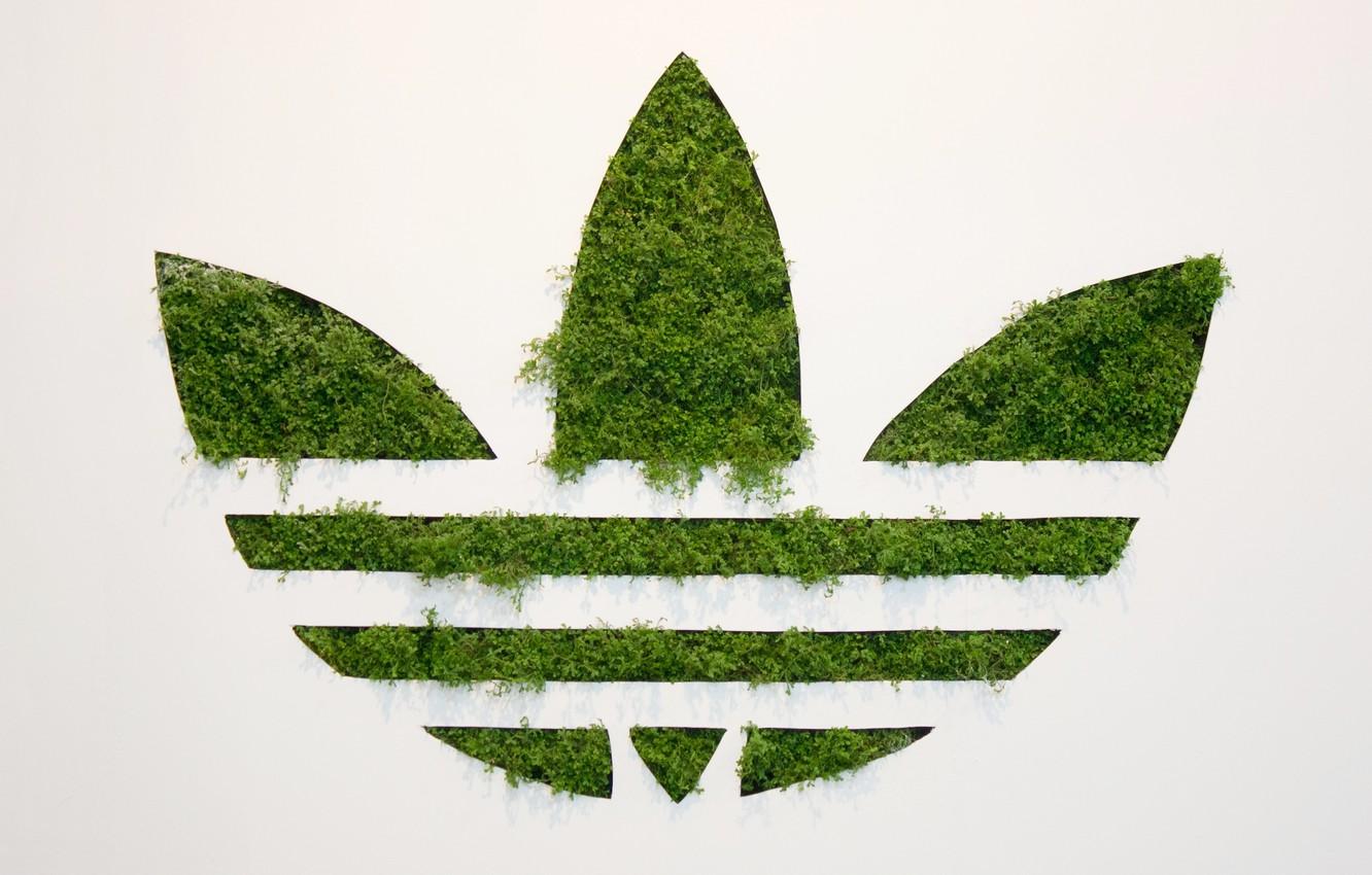 Wallpaper Grass, Background, Adidas, Logo, Adidas, Originals