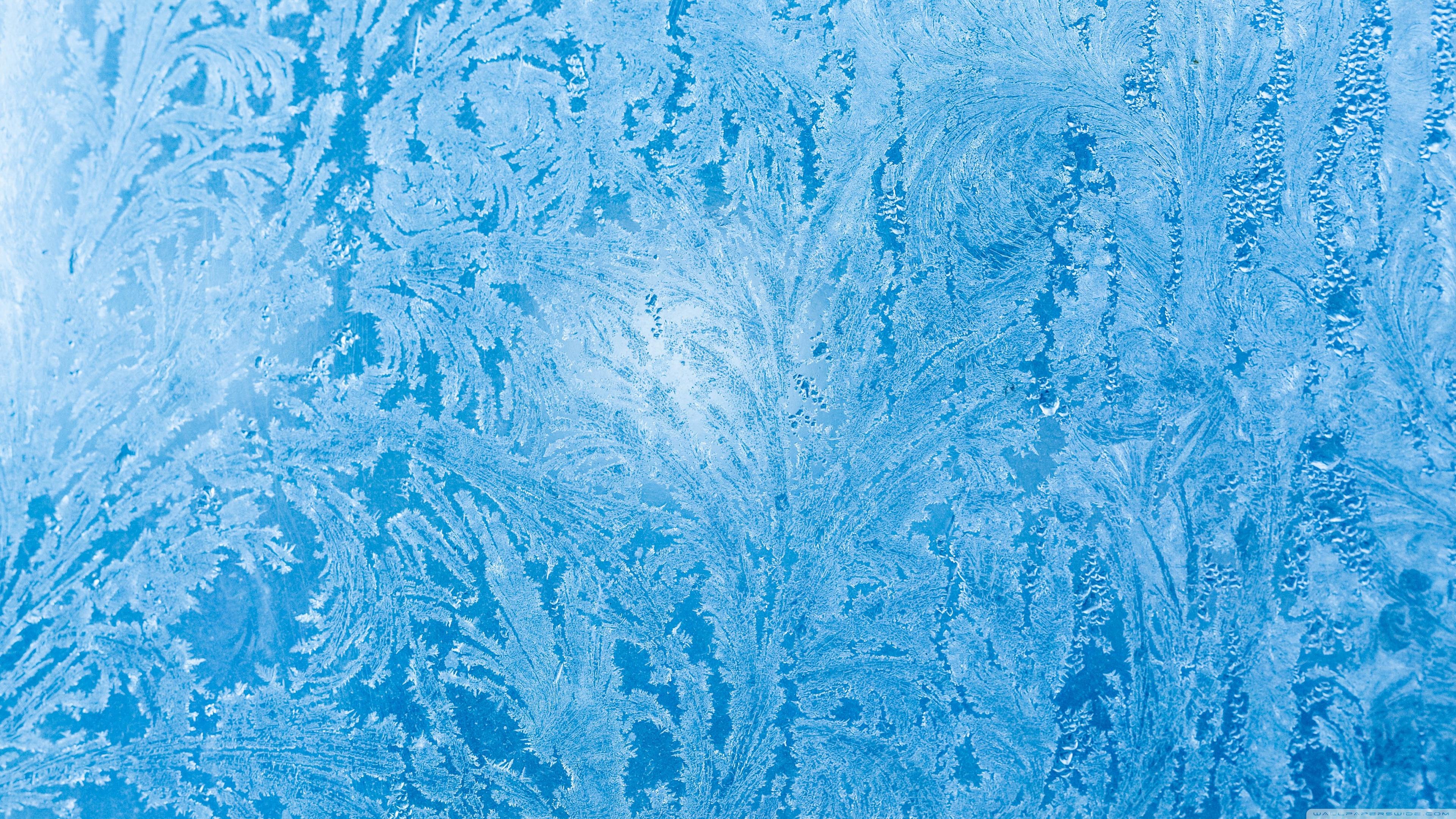 Frozen Ice Flowers on Window Glass Ultra HD Desktop
