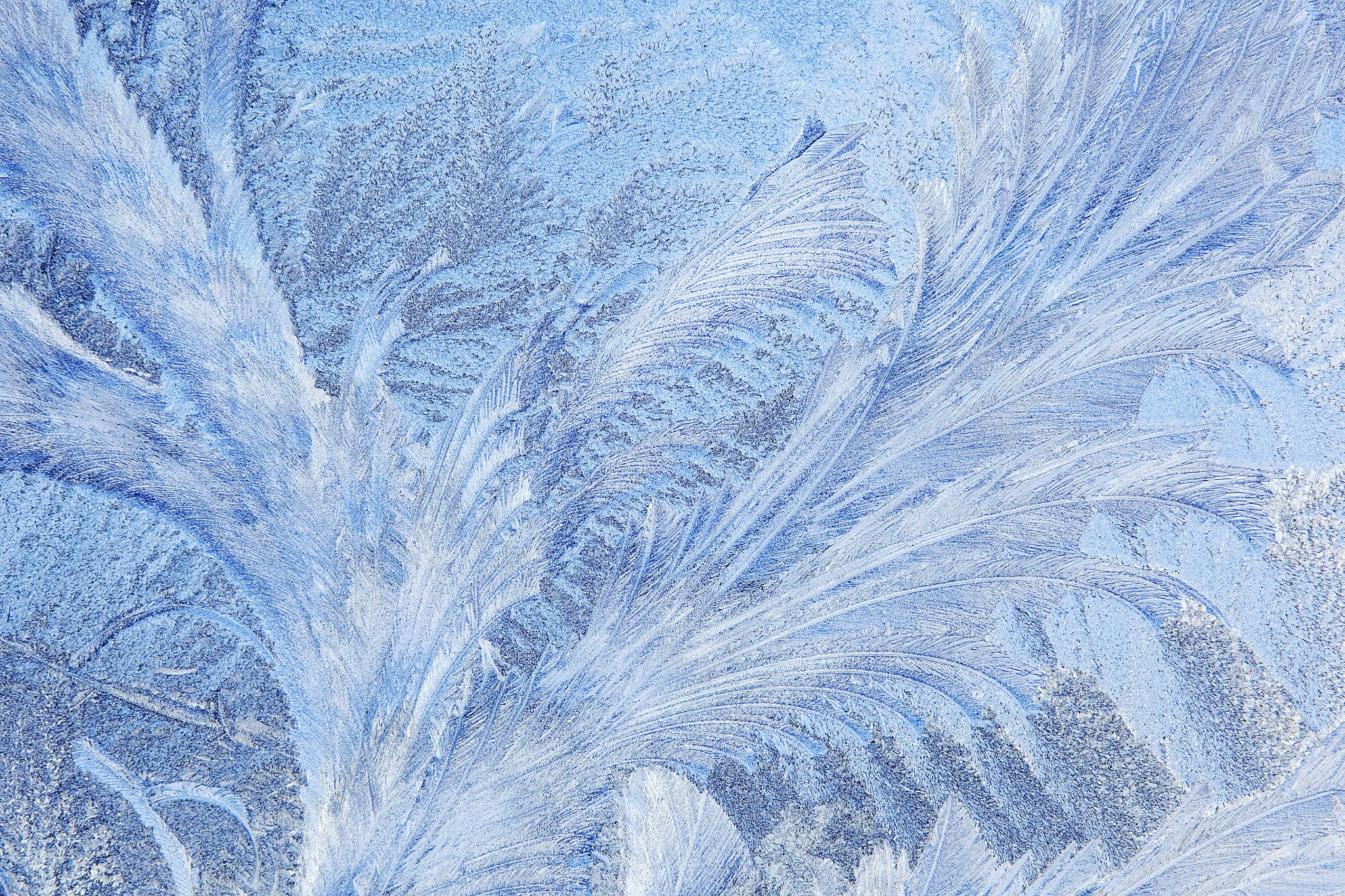 Dean Pennala photography. Window Frost Pattern, 2016