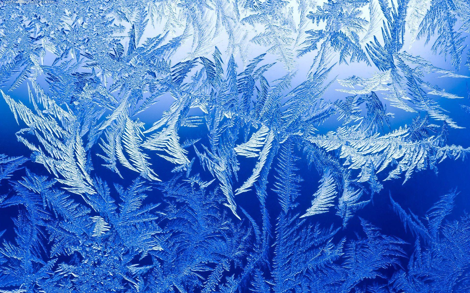 Frozen window wallpaper wallpaper