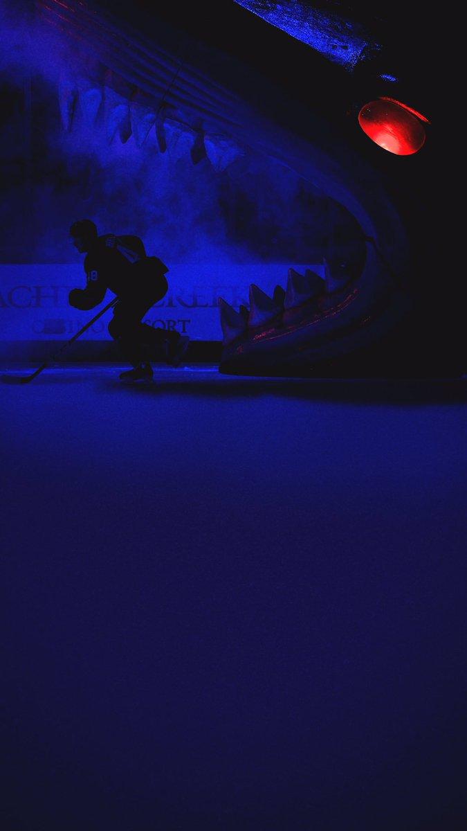 San Jose Sharks some new