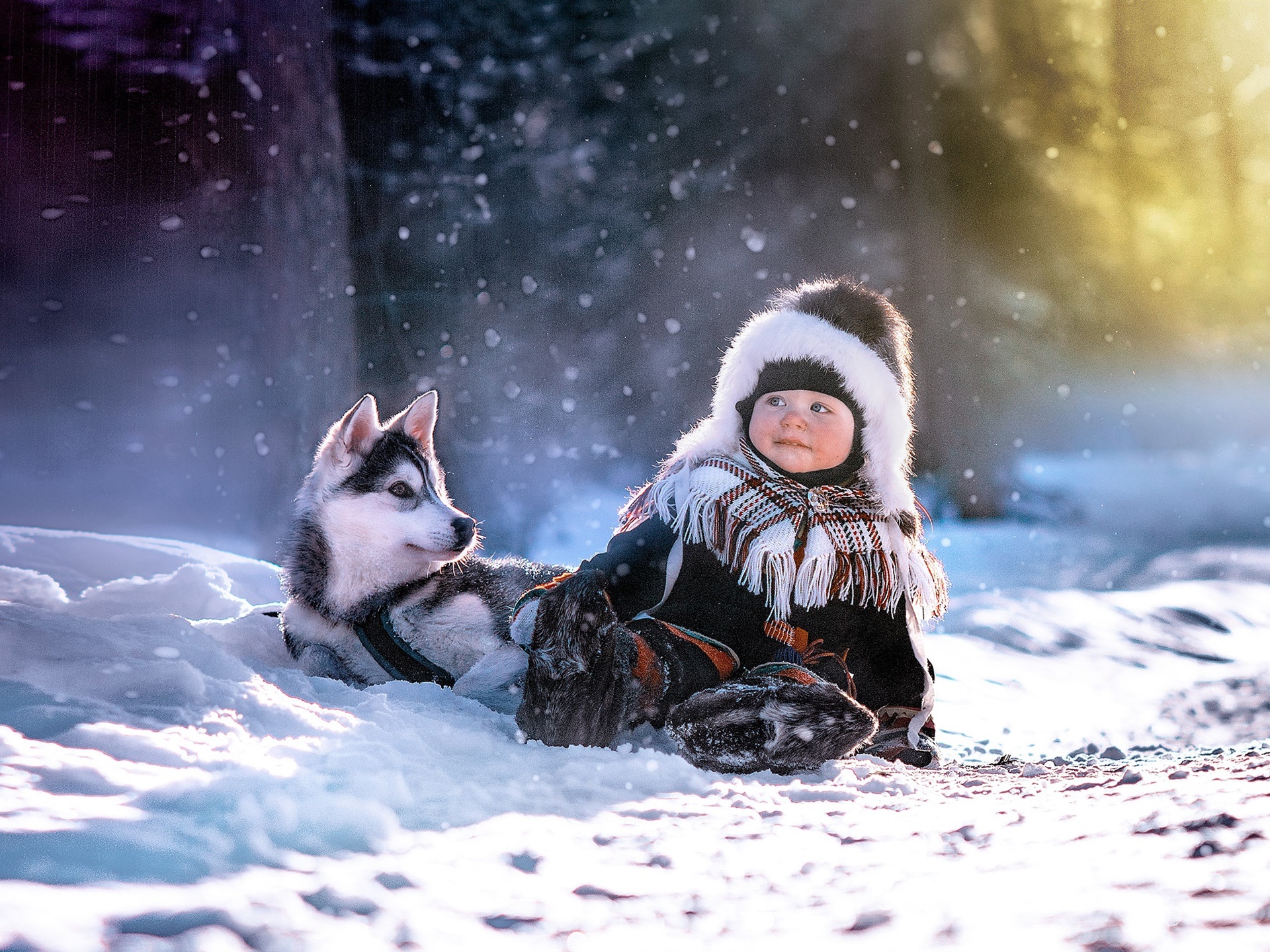 Wallpaper Child and husky dog in winter, snow 1920x1440 HD