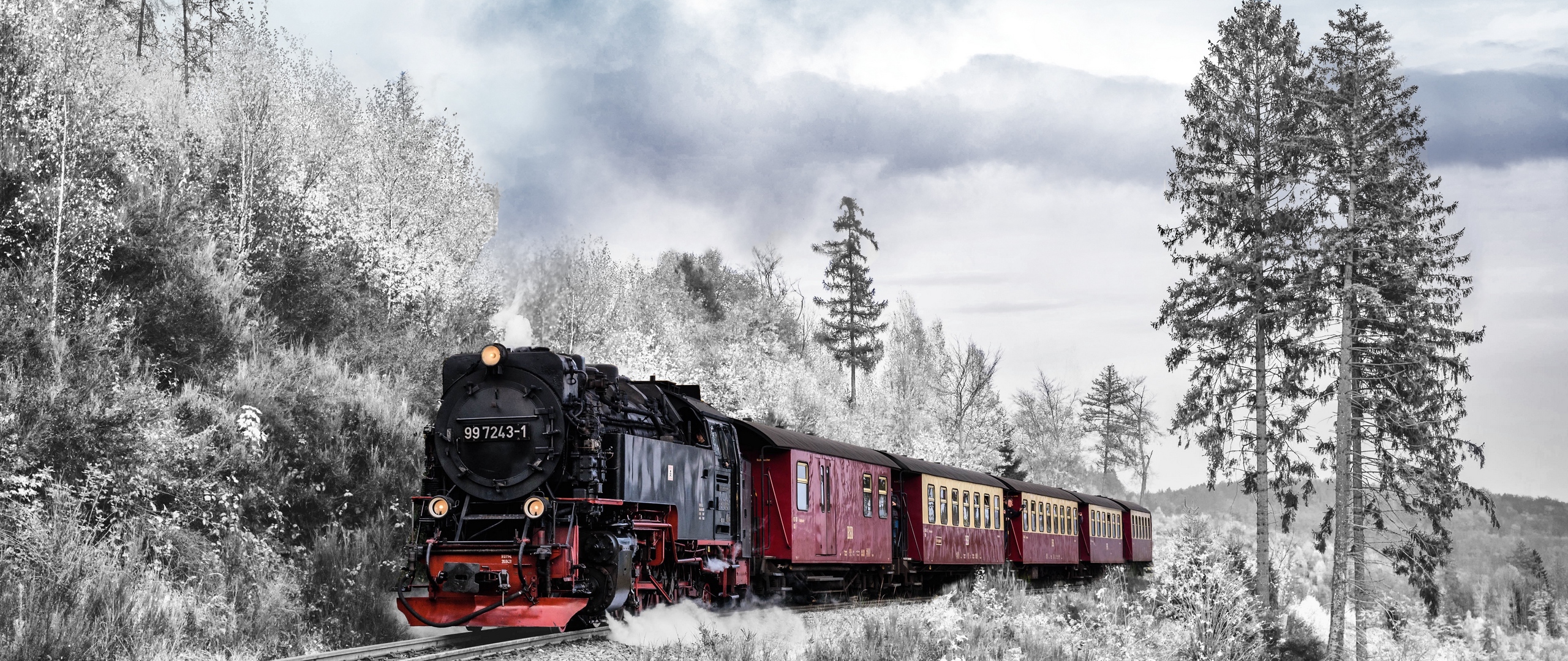 Download wallpaper 2560x1080 train, forest, winter, railway