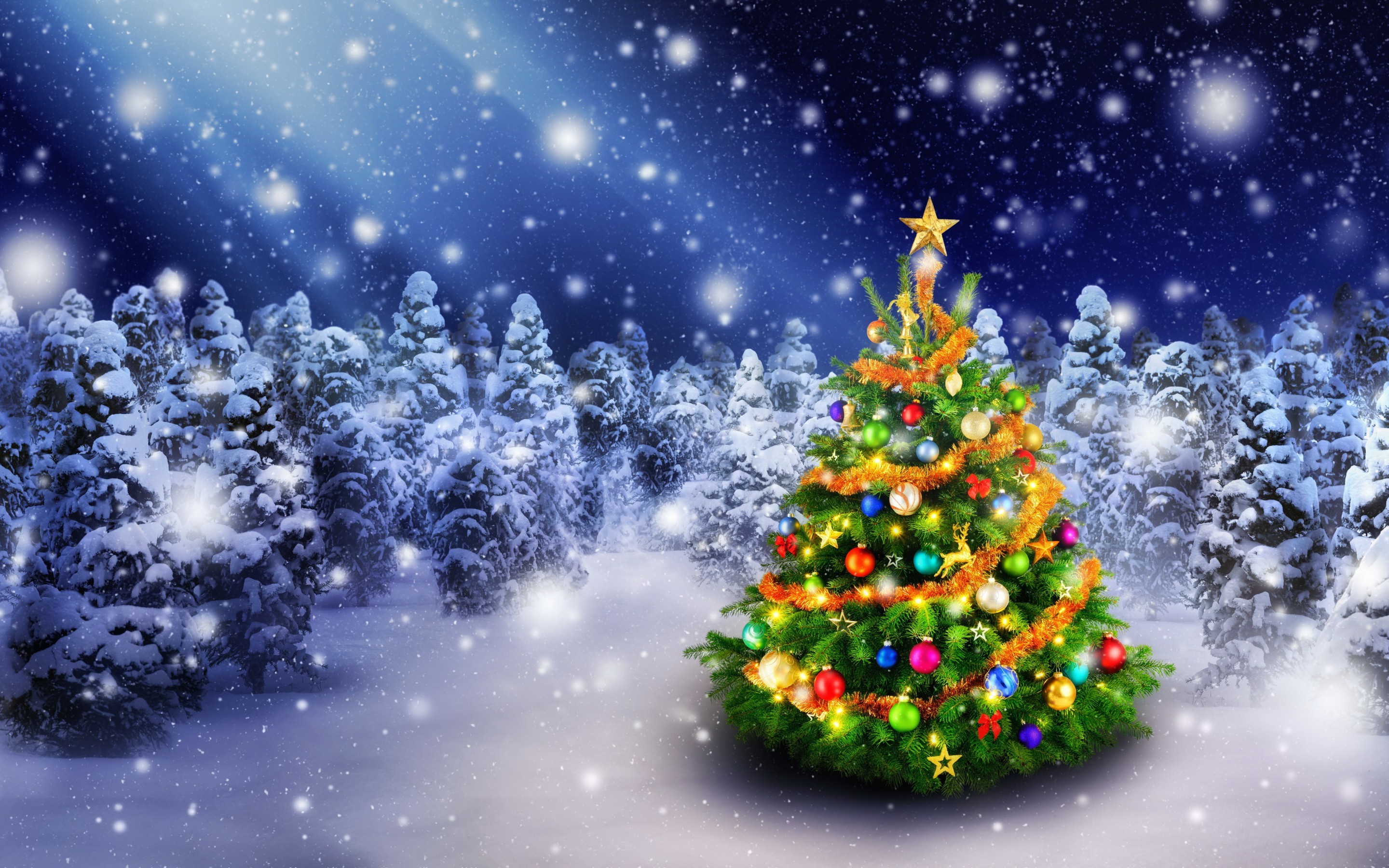 Christmas Tree Hd Wallpapers And Backgrounds | Sexiz Pix