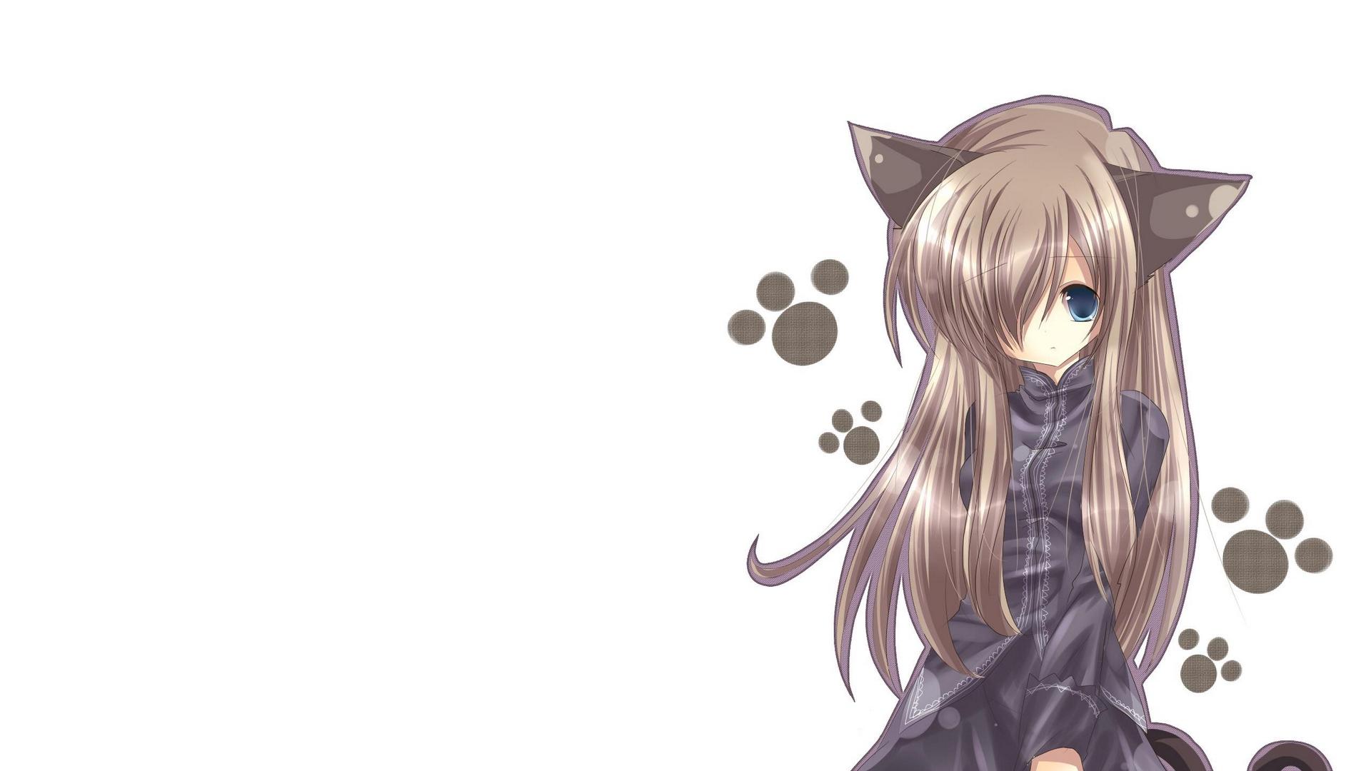Wallpaper Cat Girl, Nekomimi, Art, Anime, Girl Wolf Girl