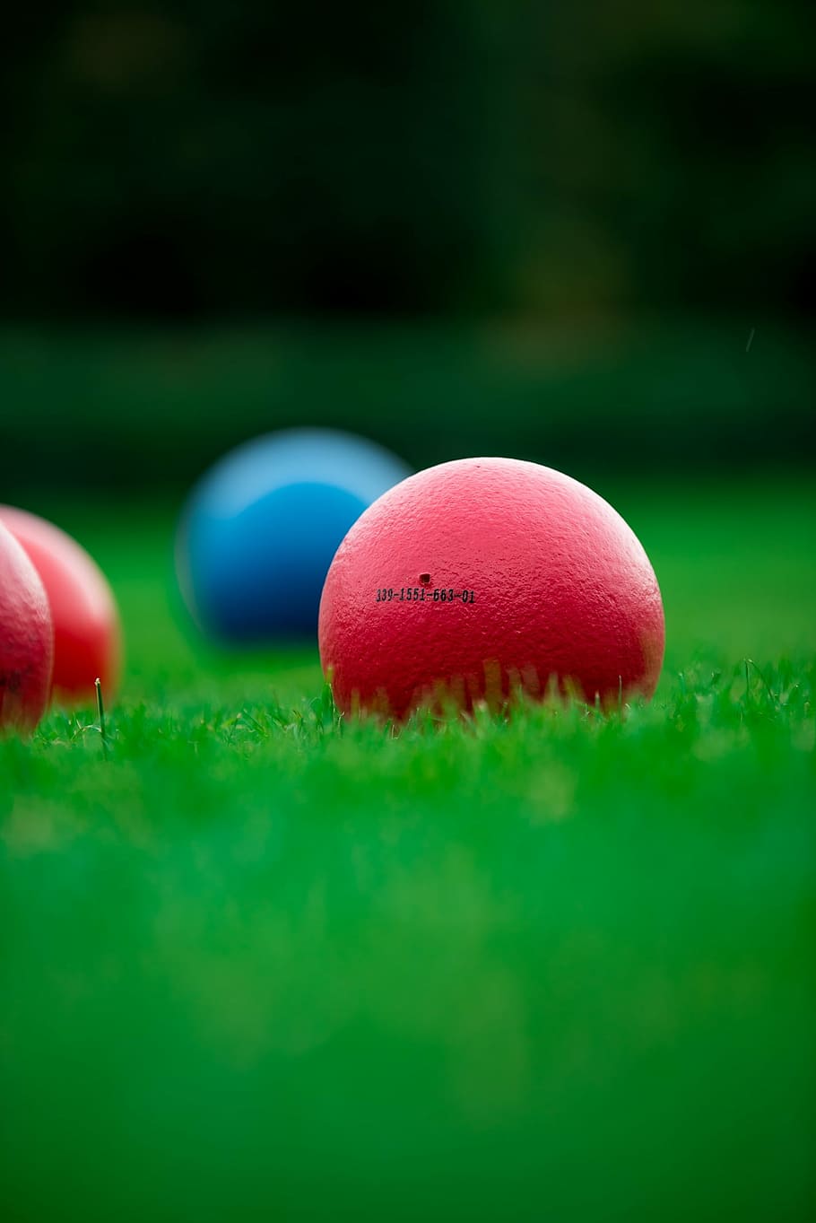 HD wallpaper: course, handball, sport, grass, play