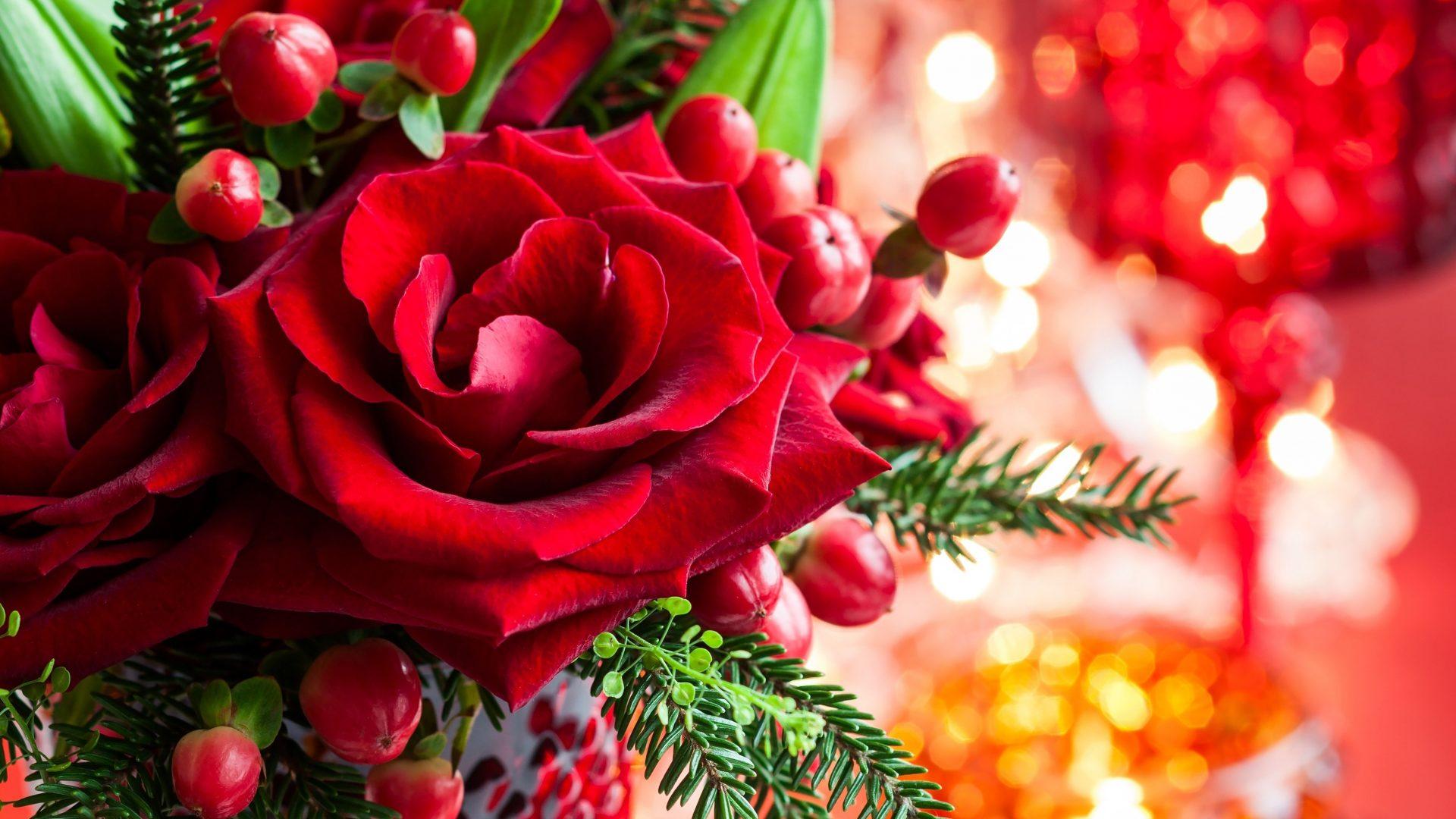 Magic Love Bokeh Red Xmas Roses Merry Rose Christmas Petals