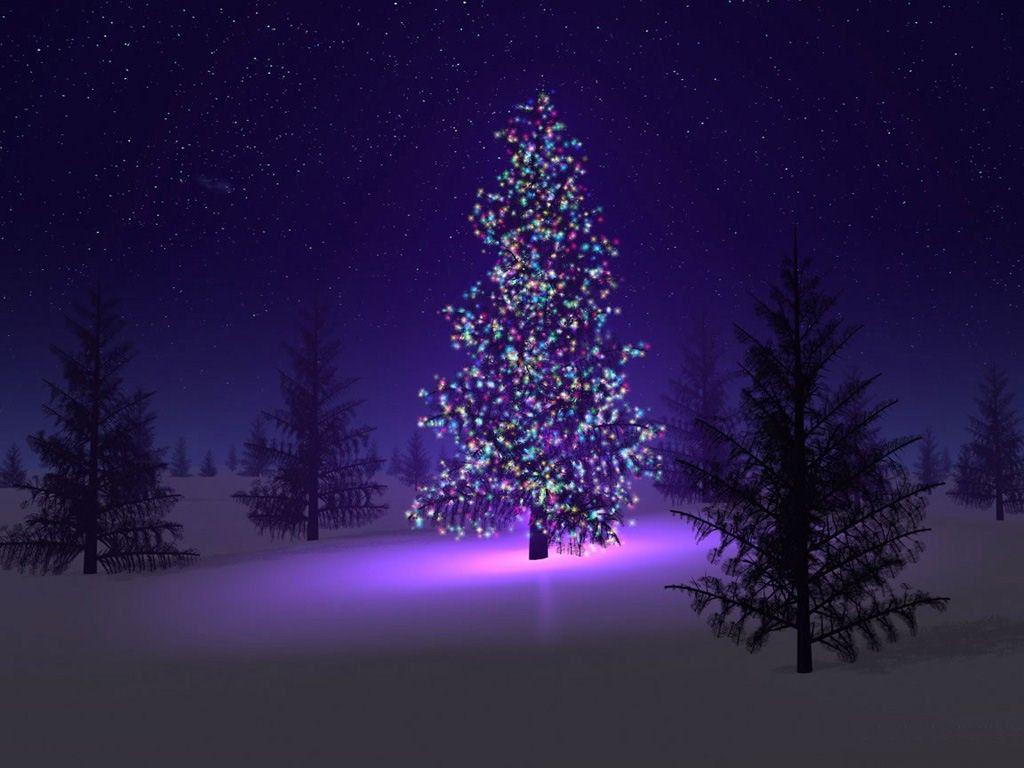 CHRISTMAS Wallpaper Tree & lights. Christmas