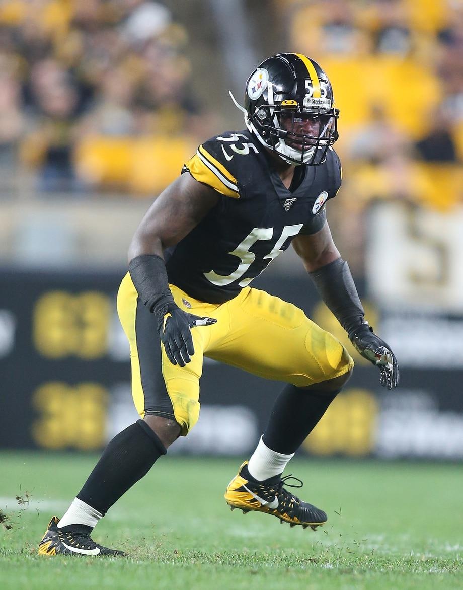 Don't expect baptism by fire for Steelers rookie Devin Bush