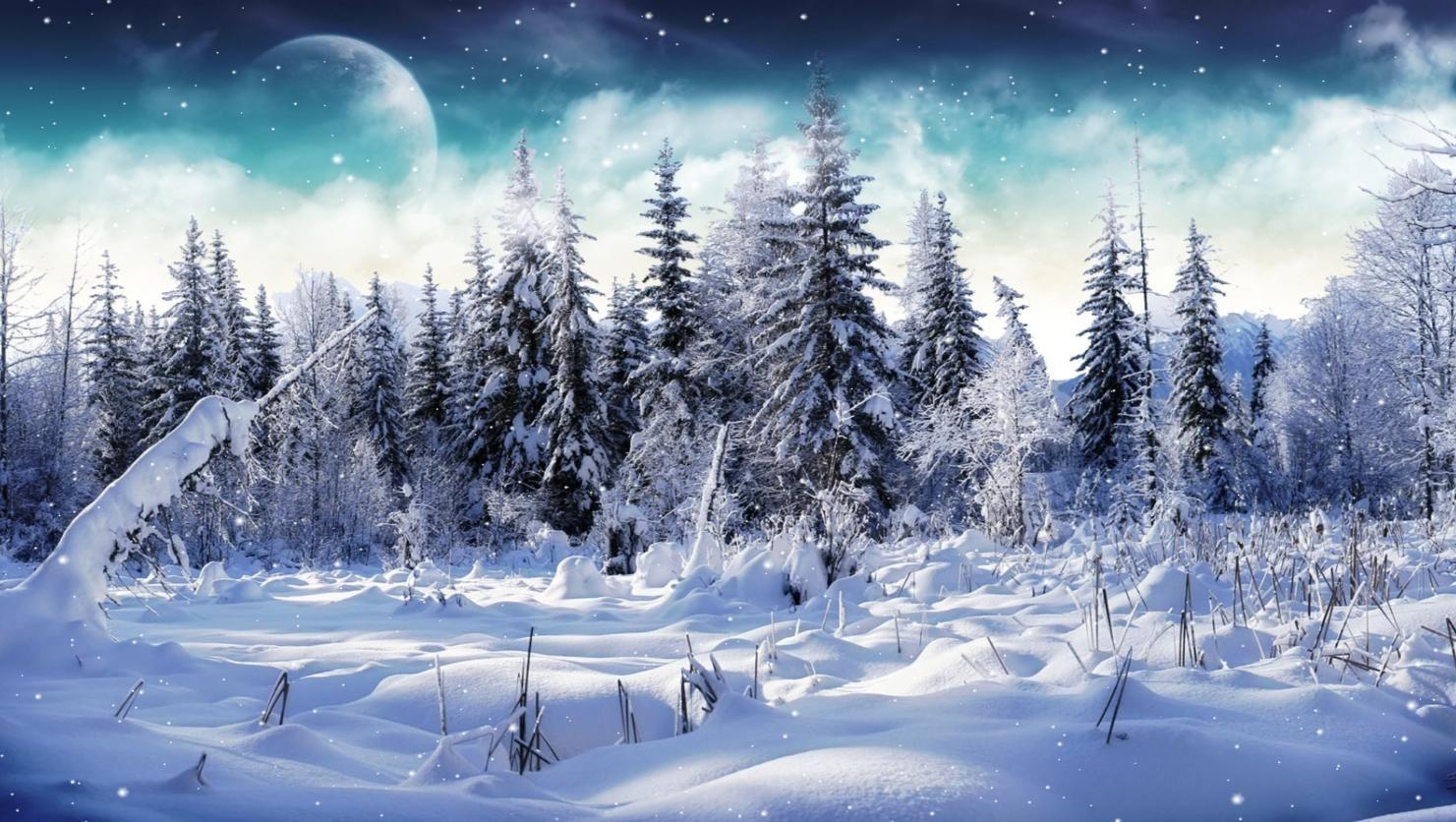 Free Microsoft Winter Scene. Download Cold Winter Animated Wallpaper. DesktopAnimated.com. Winter scenery, Winter landscape, Winter picture