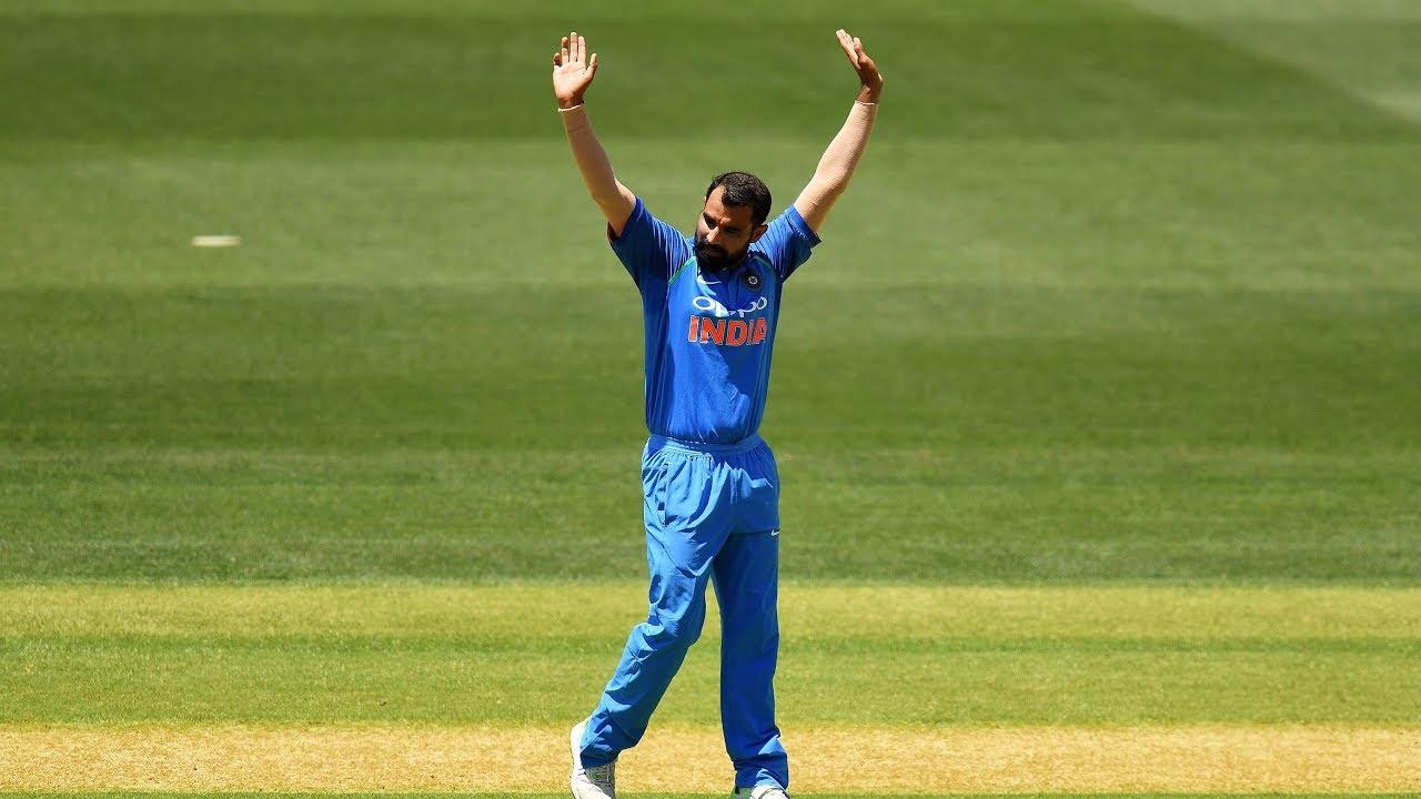 Everything about Shami's bowling at the moment is perfectly in place