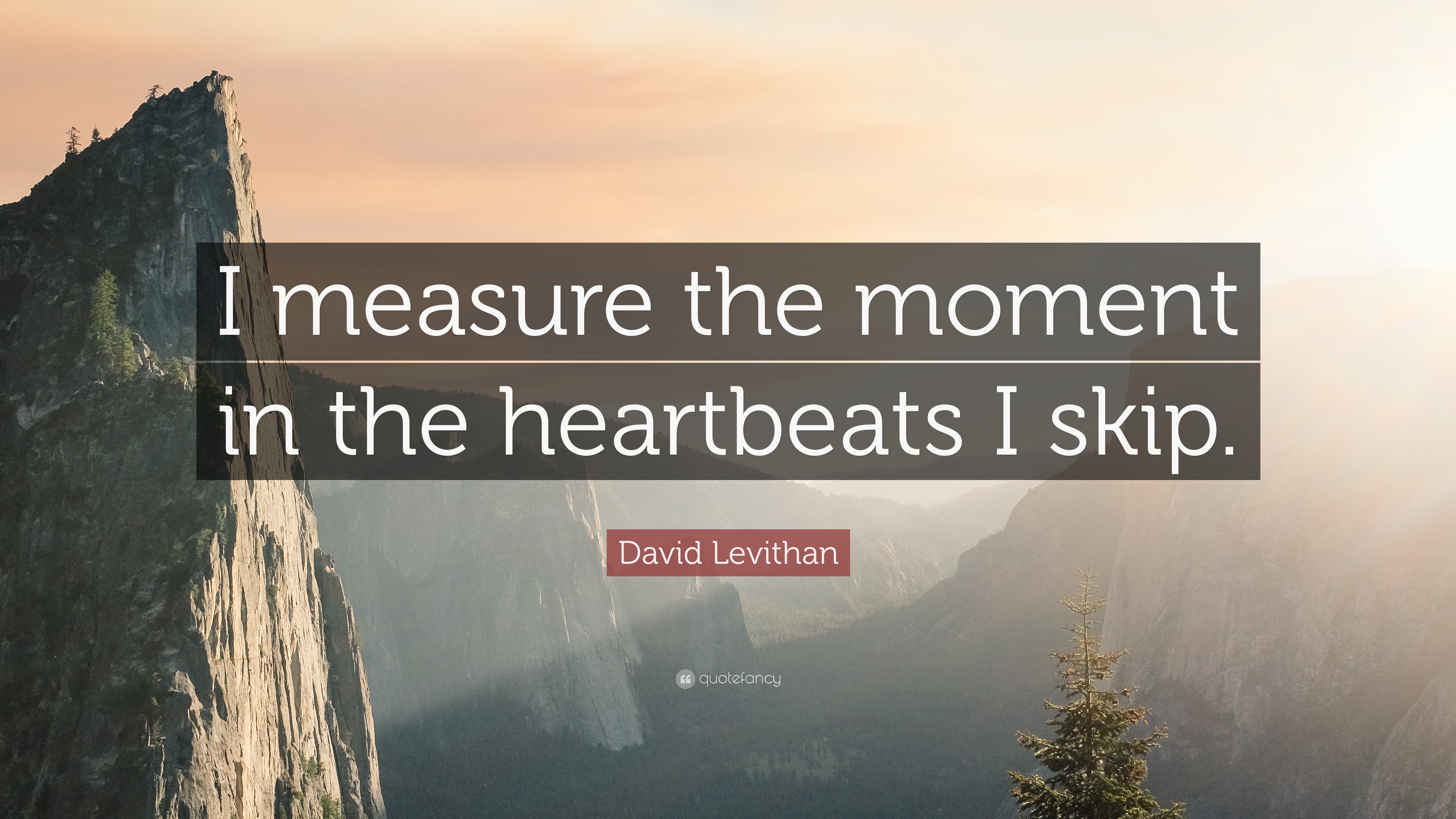 David Levithan Quote: “I measure the moment in