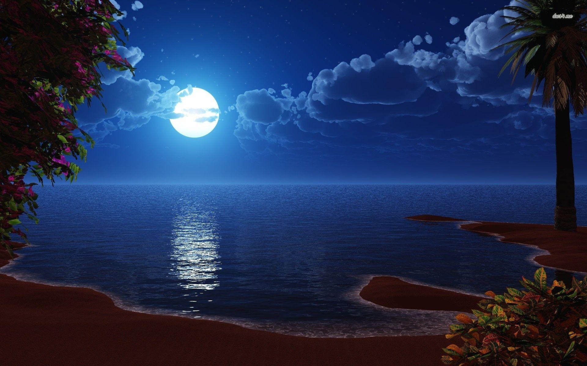 Full moon at the beach HD wallpaper. Ocean at night