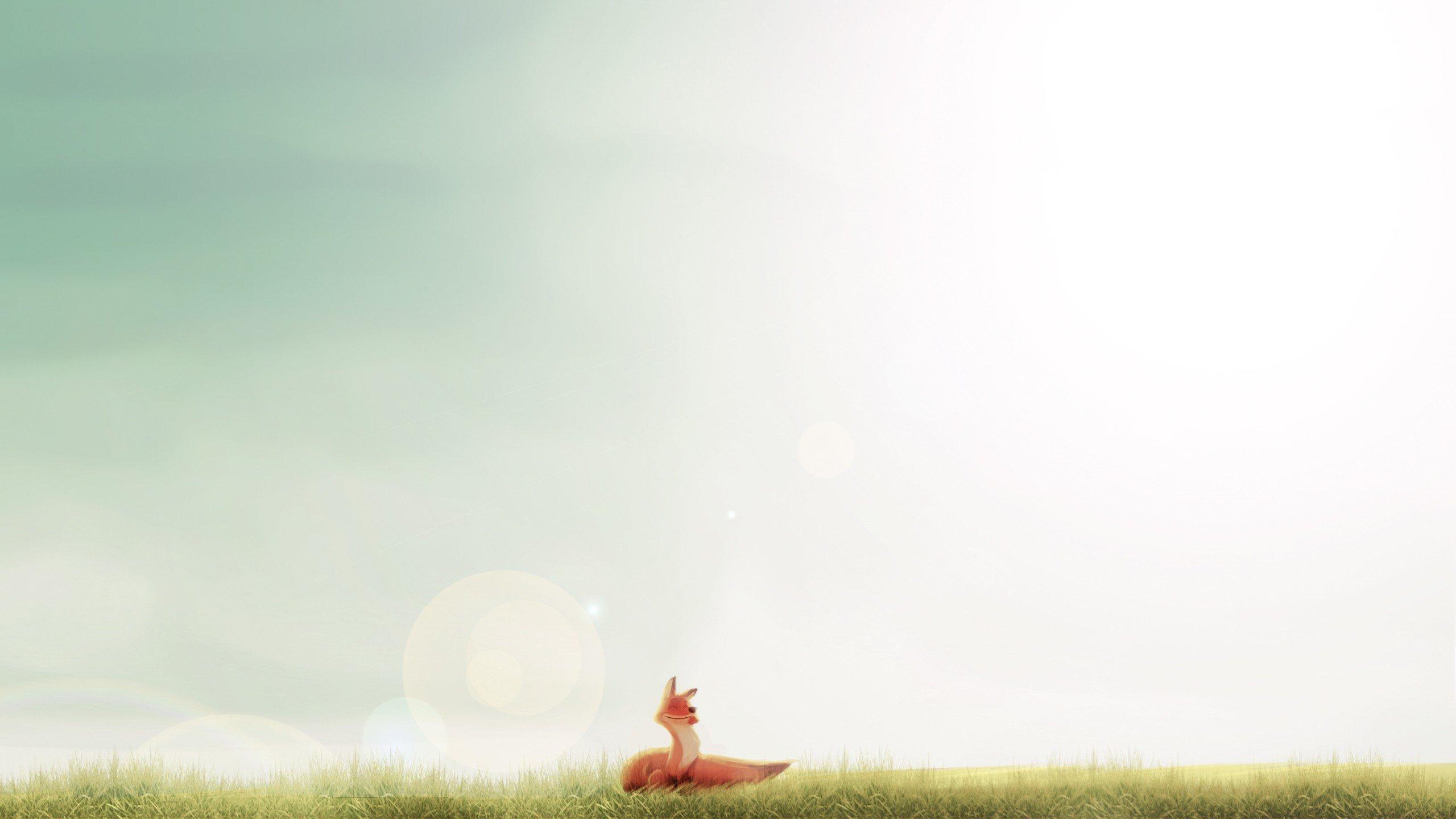 fox minimalism sunlight smiling happy wallpaper