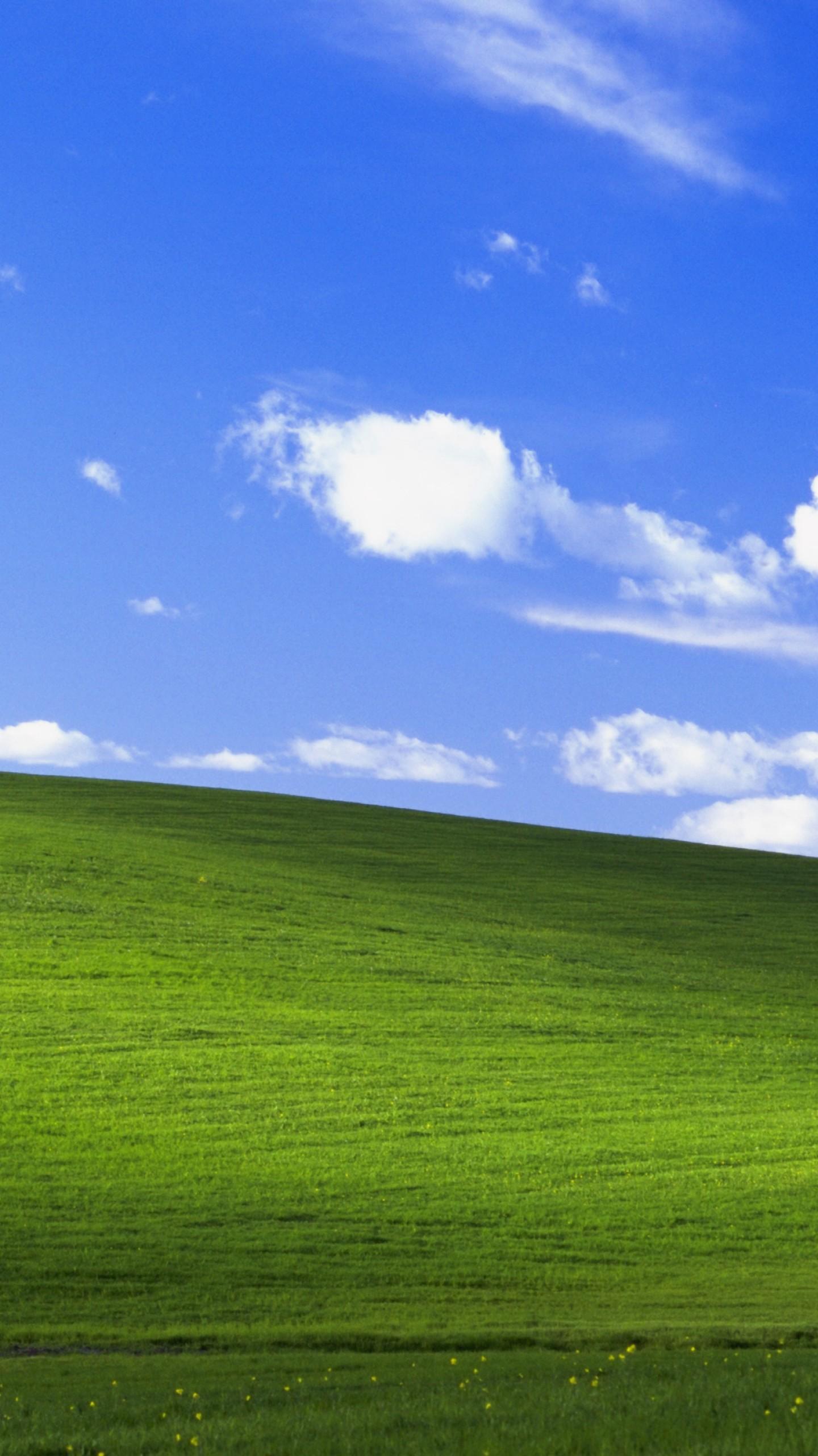 Hình nền huyền thoại trên Windows XP một thời Được Microsoft trả hơn  100000 USD vào năm 2000 đến nay vẫn xanh tốt như ngày nào