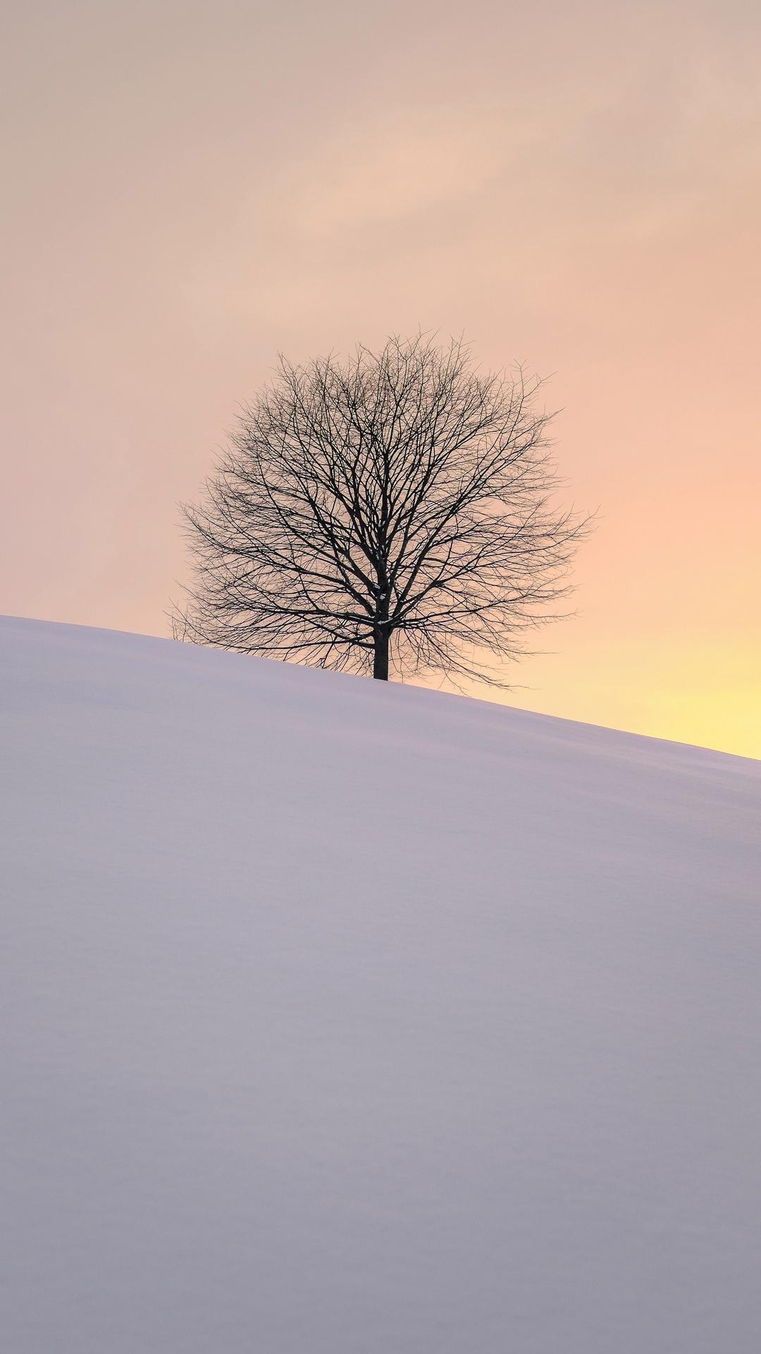 Tree Winter Minimalism Wallpaper - [1080x1920]