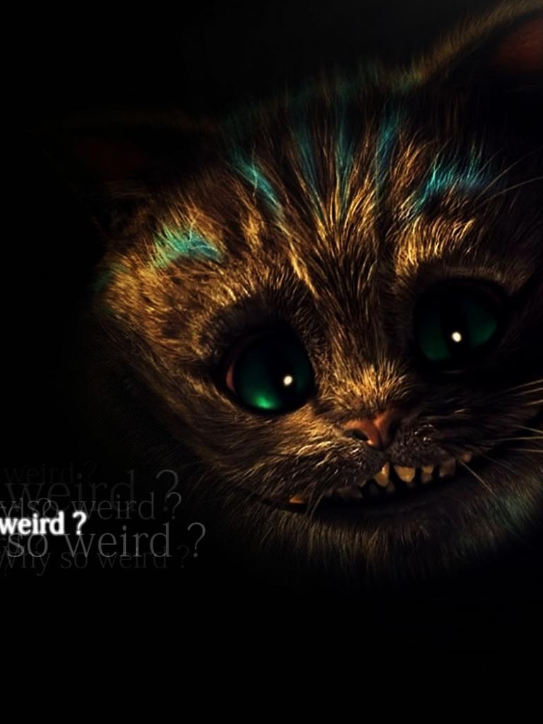 Cute Cheshire Cat Alice In Wonderland, HD Wallpaper