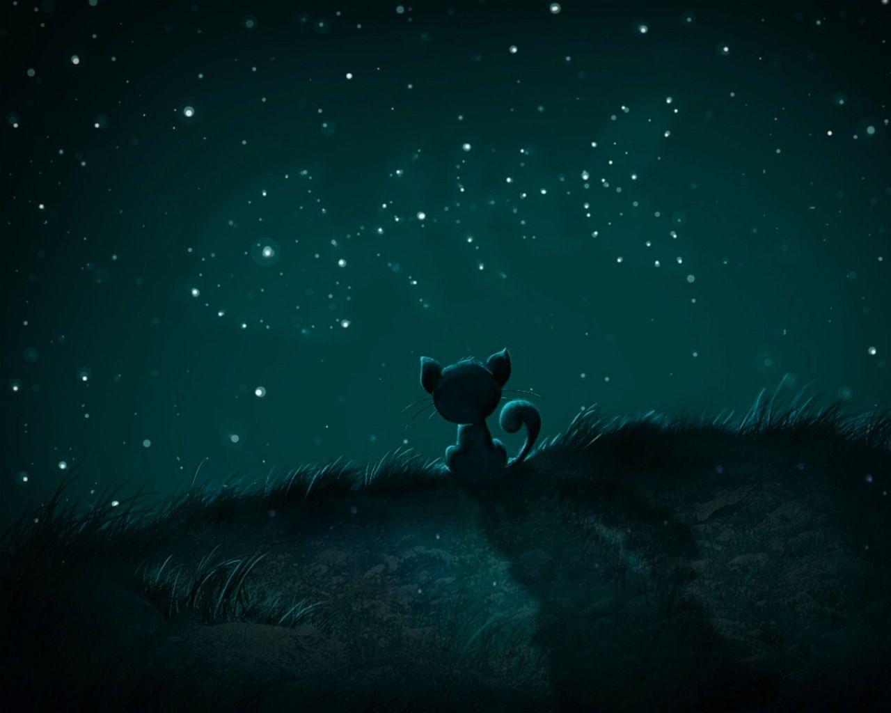 kitty cat dreams. Stars at night, Live wallpaper, Cat art