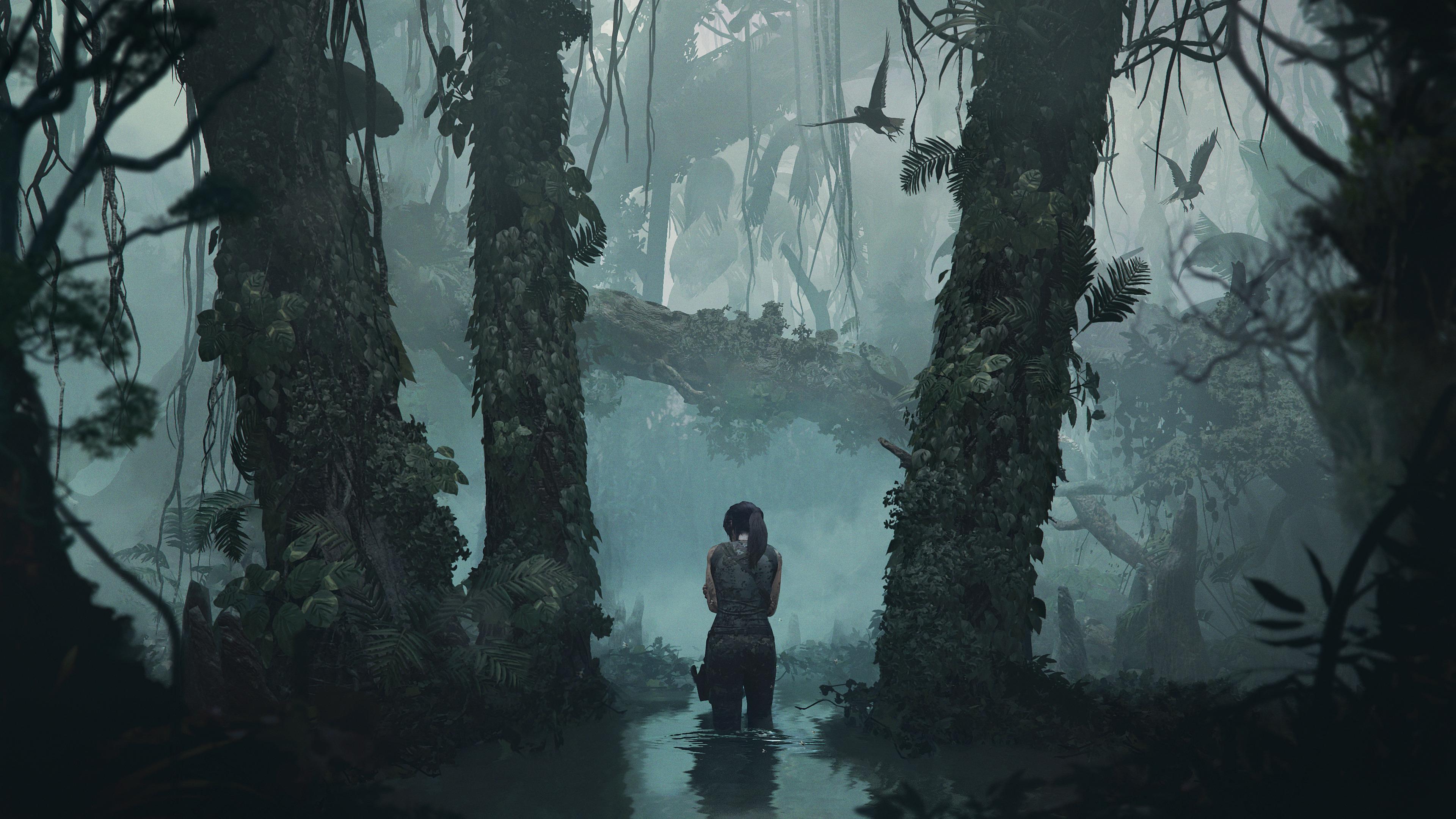 4k Shadow Of The Tomb Raider, HD Games, 4k Wallpaper