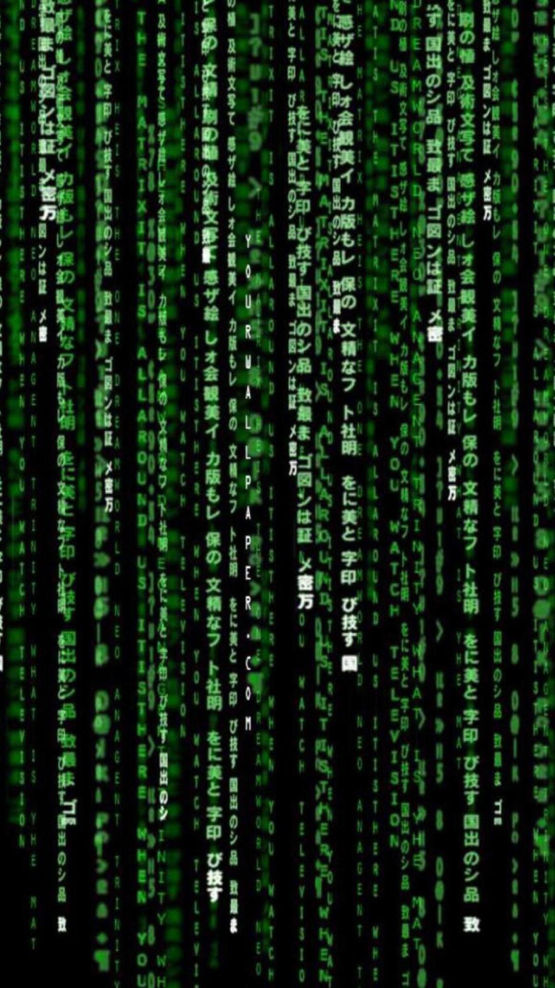 the matrix code wallpaper