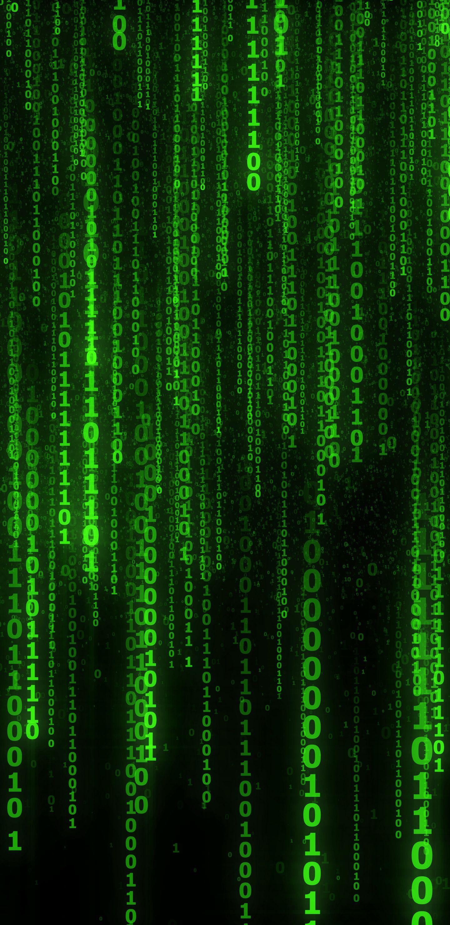 Matrix code, numbers, green wallpaper in 2019