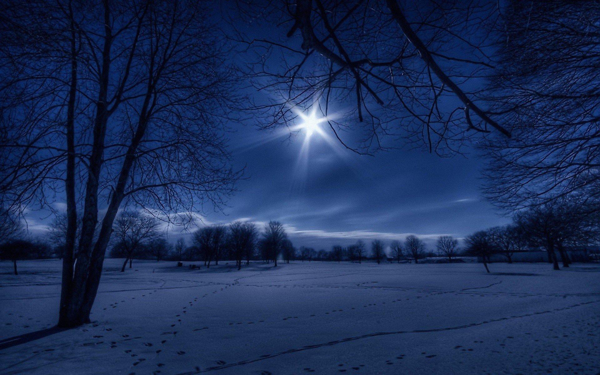 Winter Night In Moonlight Wallpaper Widescreen