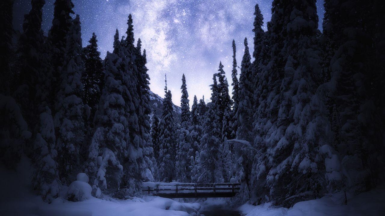 Wallpaper Starry sky, Night, Banff National Park, Winter